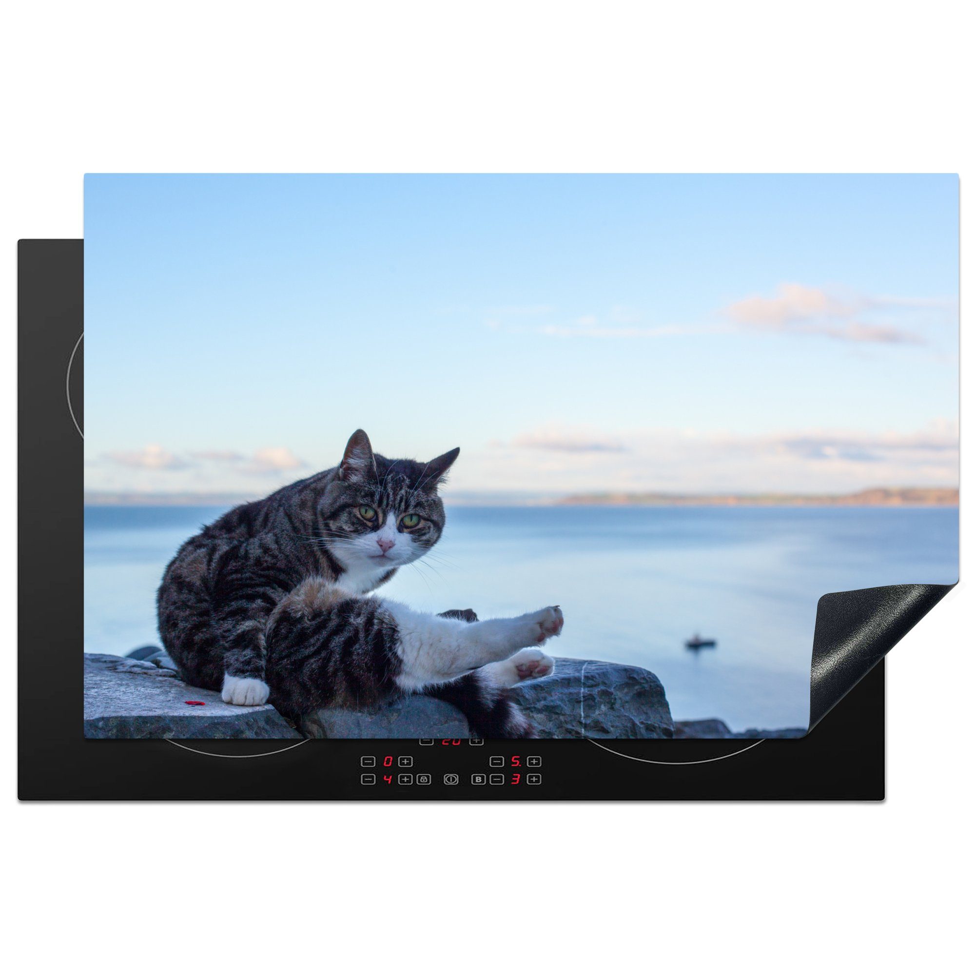MuchoWow Herdblende-/Abdeckplatte Reinigung Katze, Vinyl, (1 tlg), 81x52 cm, Induktionskochfeld Schutz für die küche, Ceranfeldabdeckung