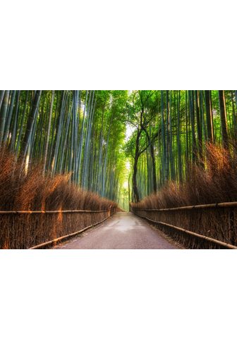 Papermoon Fototapetas »Bamboo Grove of Kyoto« gl...