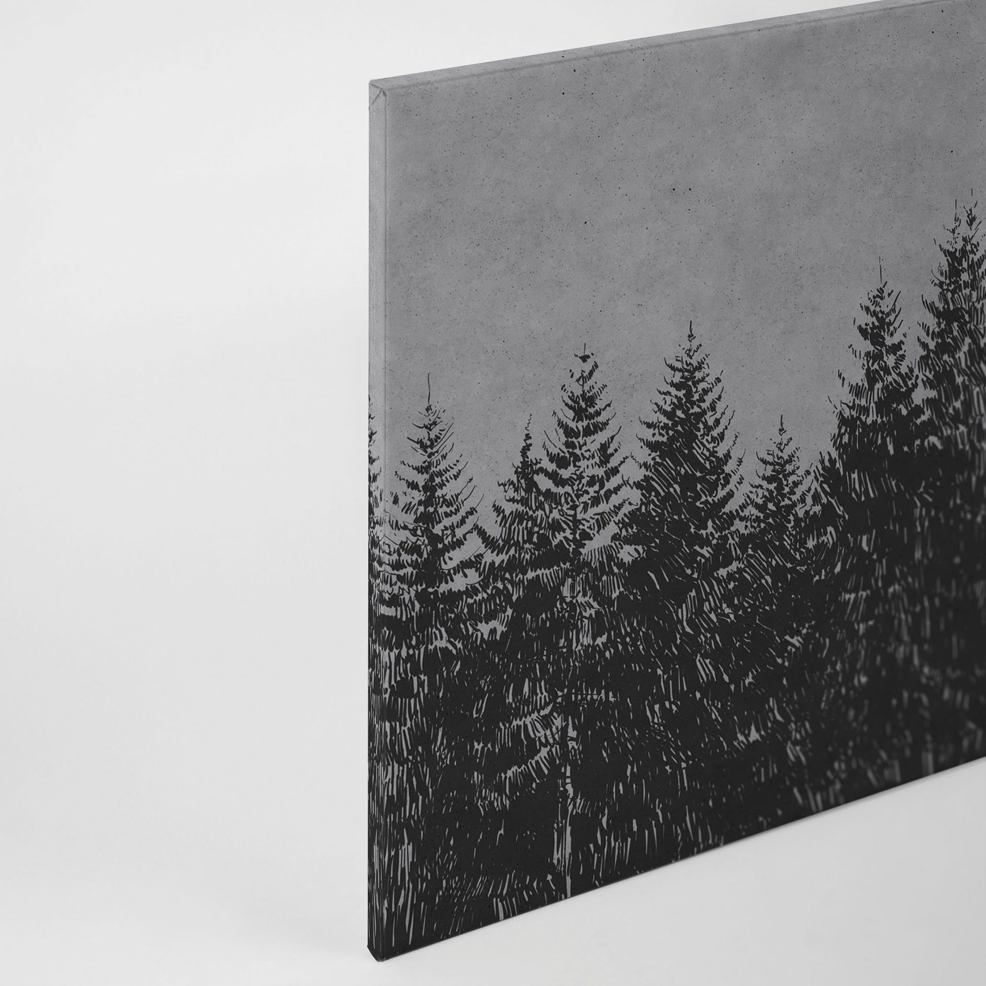Keilrahmen Schwarz Création Wald Wald forest St), A.S. (1 black Grau 3, Bild Leinwandbild