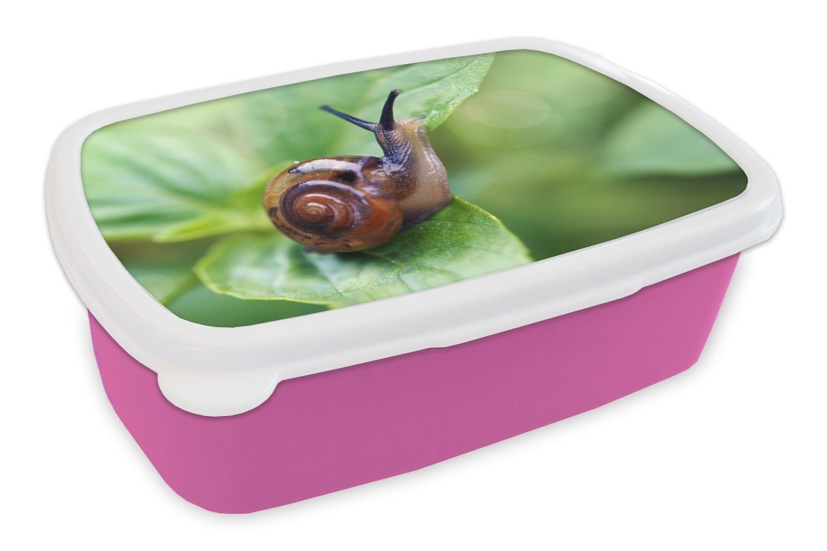 MuchoWow Lunchbox Schnecke auf Blatt, Kunststoff, (2-tlg), Brotbox für Erwachsene, Brotdose Kinder, Snackbox, Mädchen, Kunststoff rosa