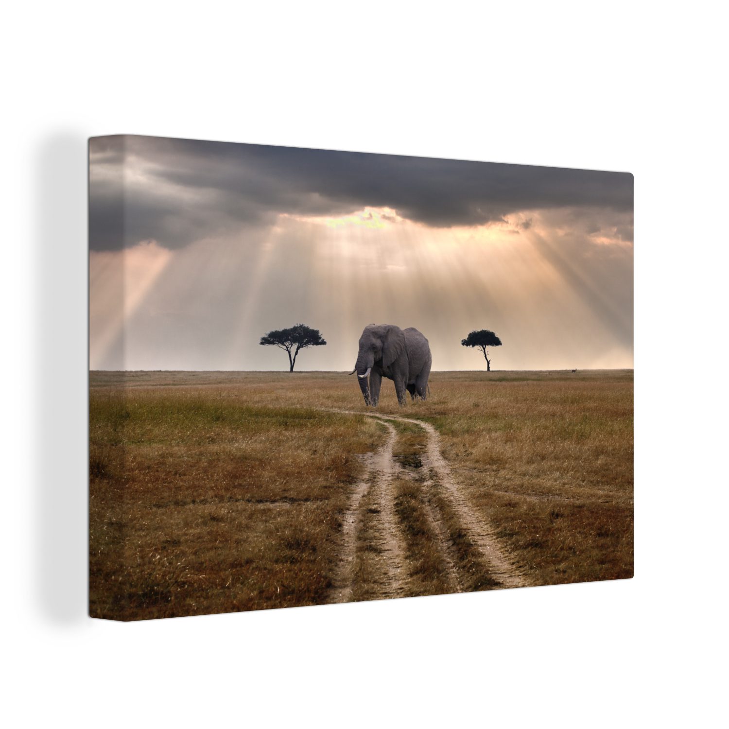 OneMillionCanvasses® Leinwandbild Elefant im Masai Mara-Nationalpark in Kenia, (1 St), Wandbild Leinwandbilder, Aufhängefertig, Wanddeko, 30x20 cm | Leinwandbilder