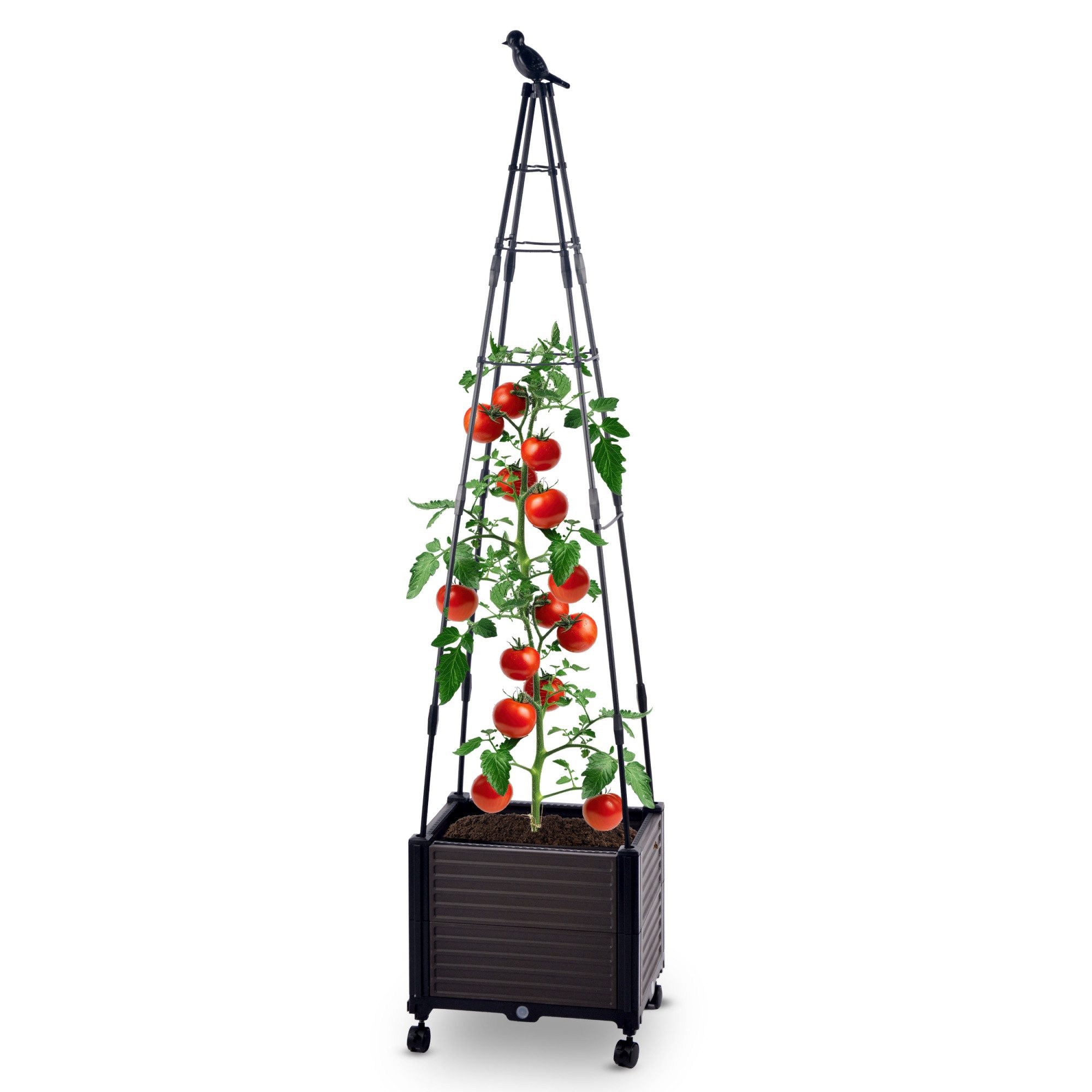 Gartenwelt Riegelsberger Blumenkasten Set mit Rankhilfe gespitzt 41x30xH160 cm Pflanzkasten auf Rädern
