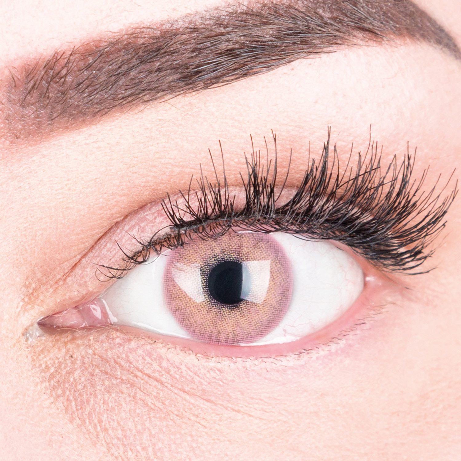 GLAMLENS Monatslinsen Sehr stark deckende und natürliche pinke Linsen "Jasmine Pink"