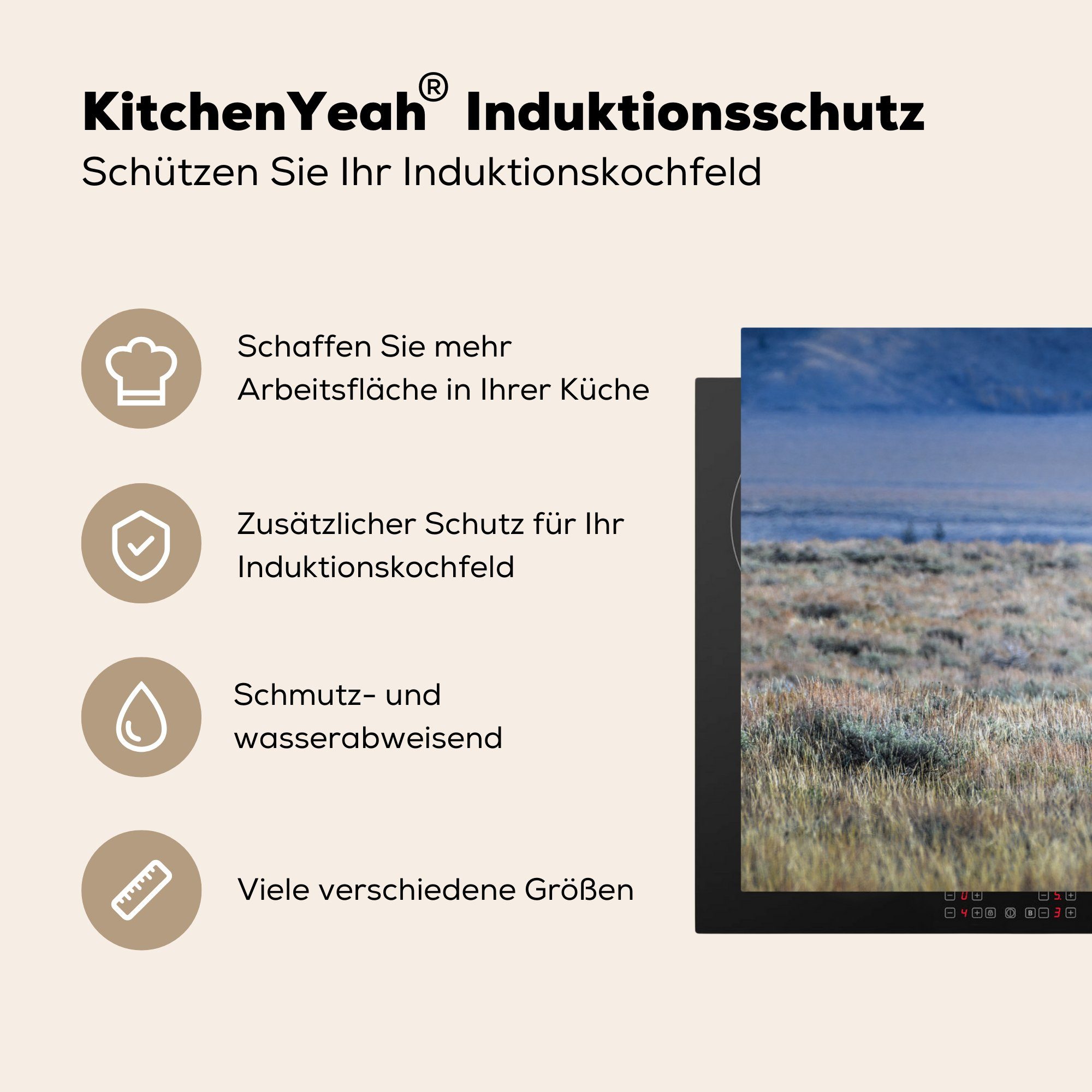 Elche tlg), 81x52 - cm, Schutz - (1 MuchoWow Hirsche die Gras, küche, Induktionskochfeld Vinyl, Herdblende-/Abdeckplatte Ceranfeldabdeckung für