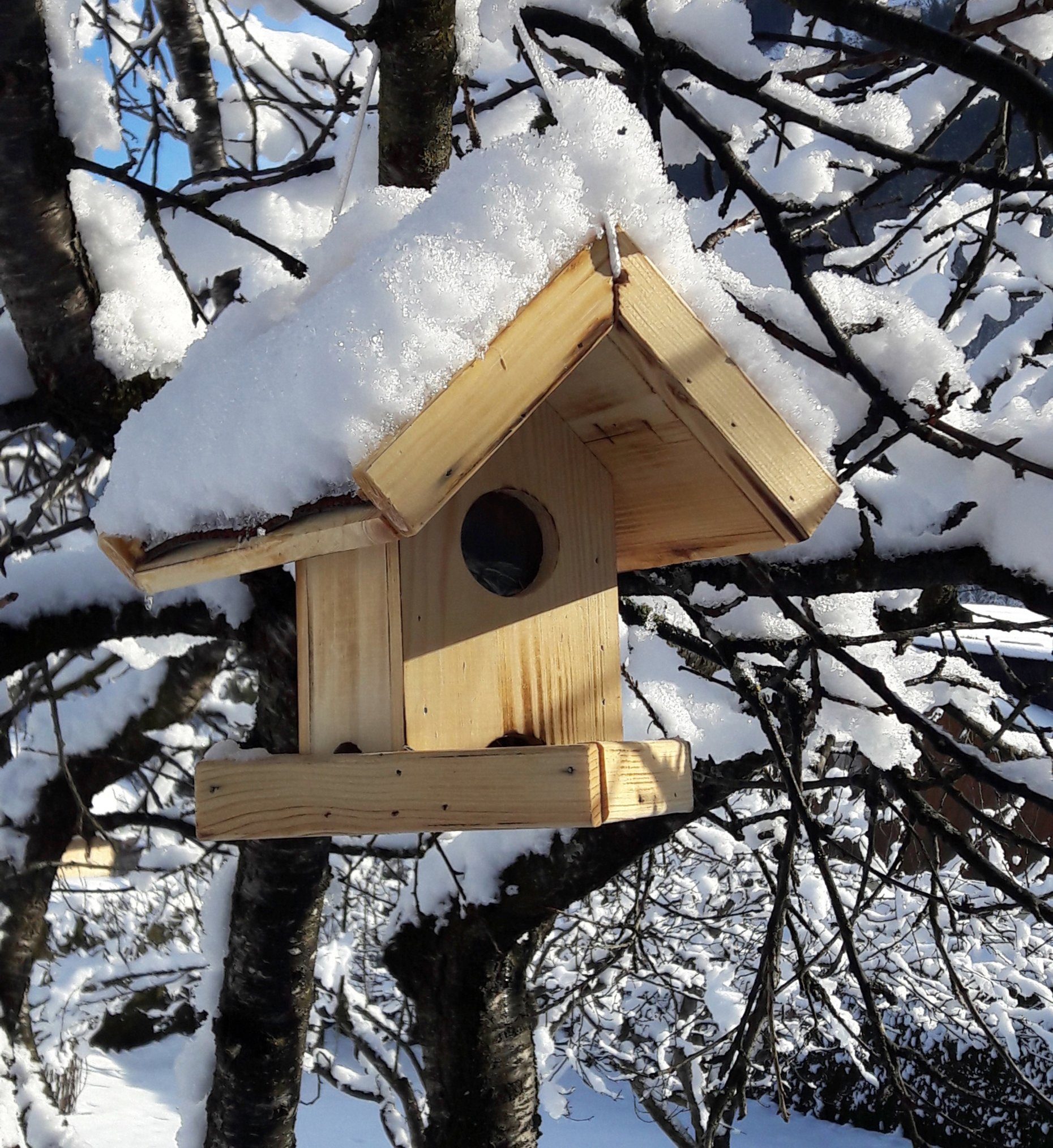 Windhager Vogelhaus Gaisberg, Vogelfutterhaus für Wildvogelarten, witterungsbeständig, Futterstation inkl. Aufhängung, Füllmenge ca. 1 L, 23x26,5x24,5 cm