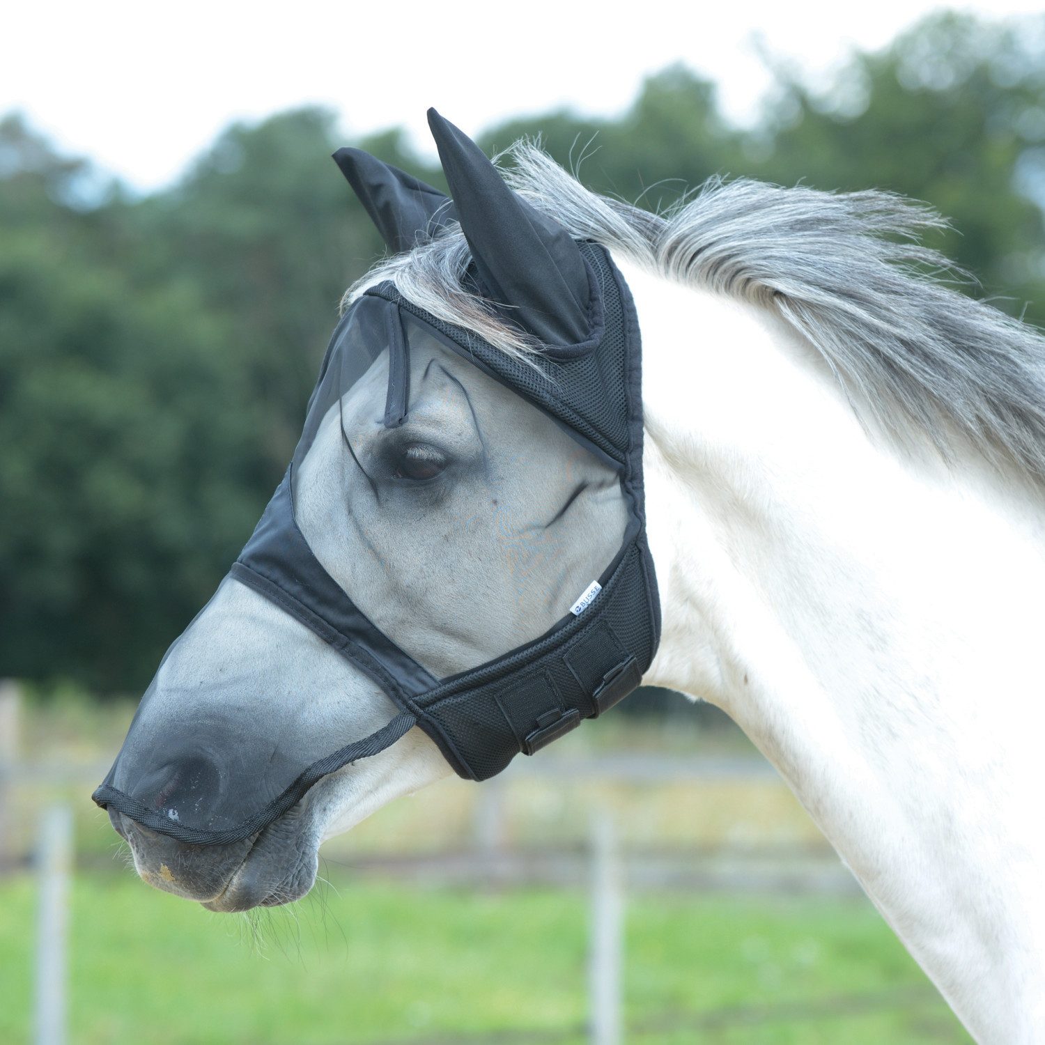 BUSSE Fliegenmasken Fliegenmaske Fly Cover Pro Gap II