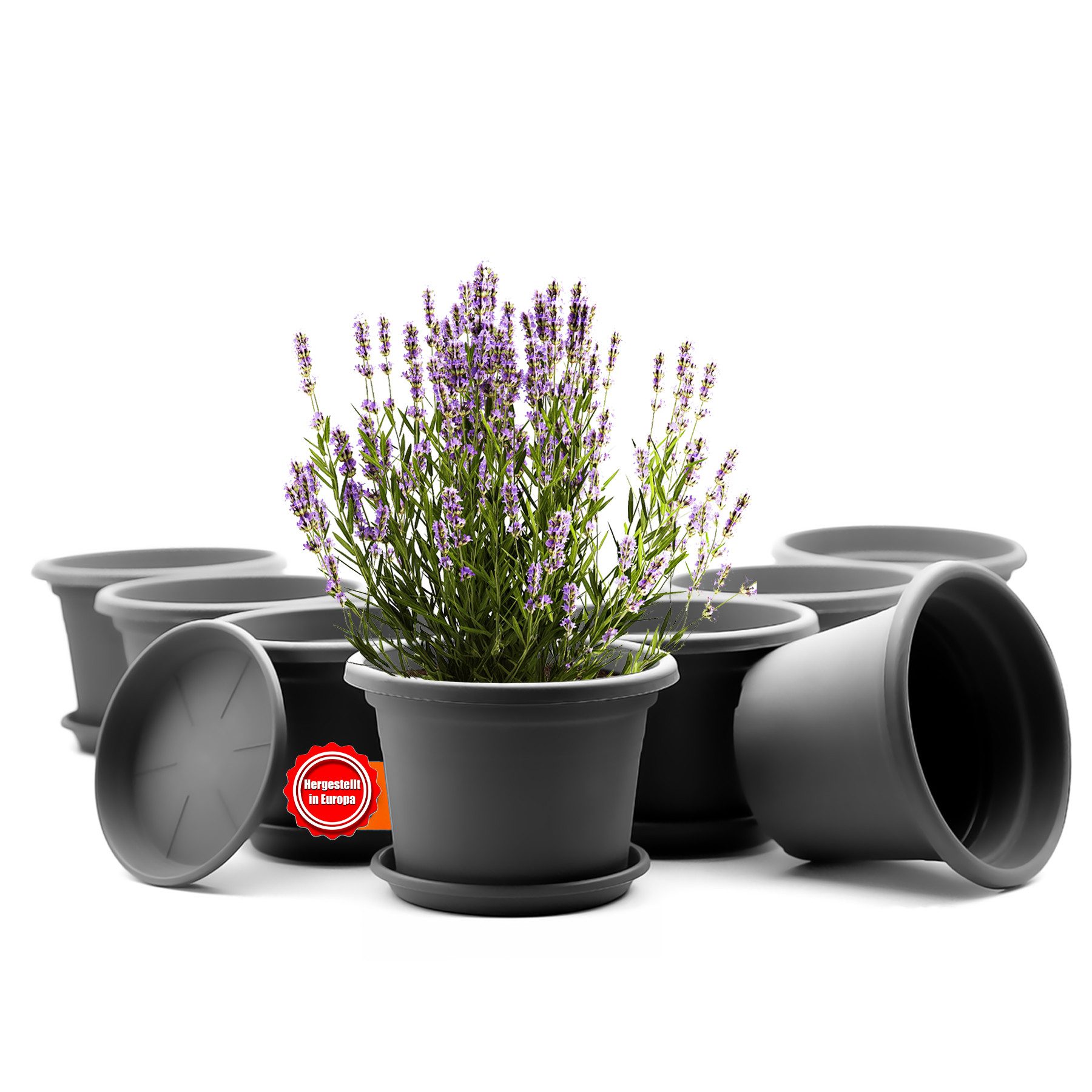 BigDean Blumentopf 8 Stück Pflanzkübel mit Untersetzer rund ø 25 cm Anthrazit (Set, 8 St., Pflanztopf), Zeitloses Design, Mit Untersetzer, Hochwertiges Material, Wetterfest