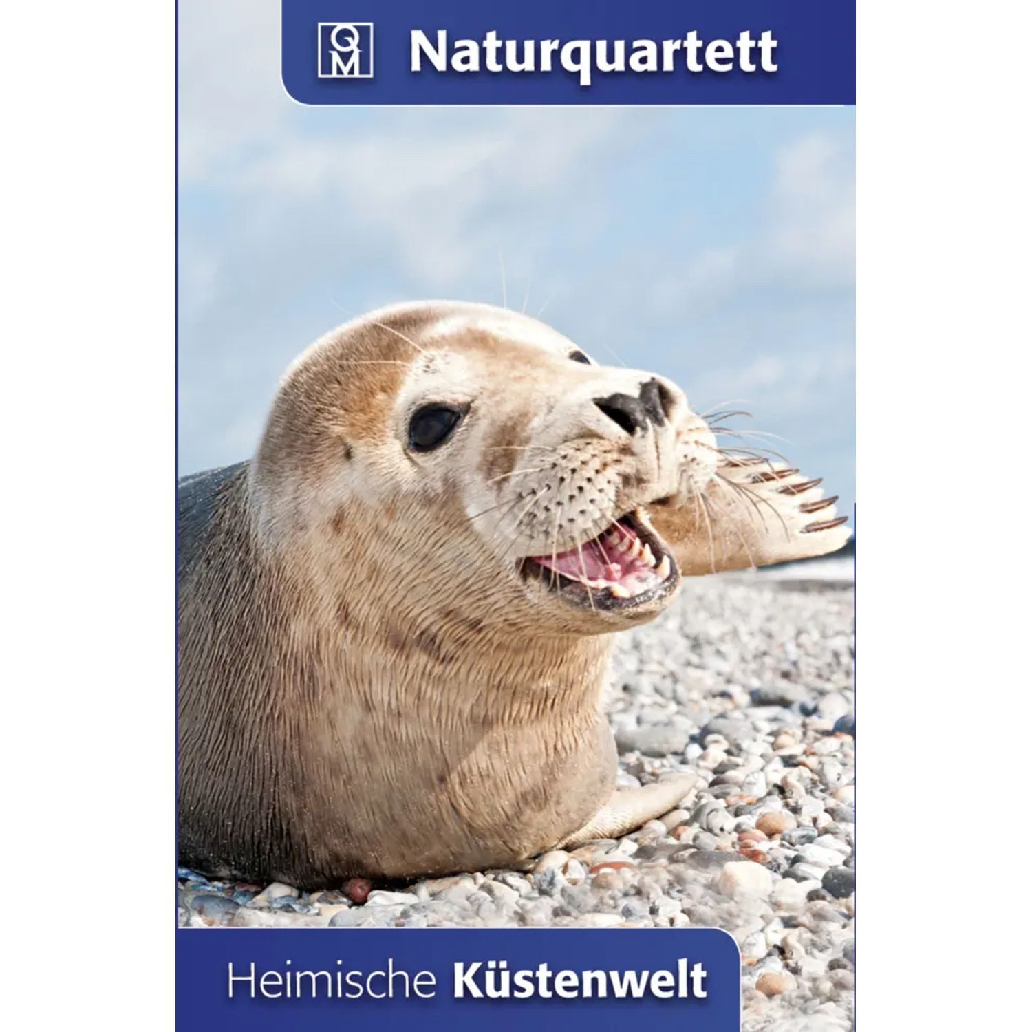 Meyer & Meyer Verlag Spiel Heimische Küstenwelt