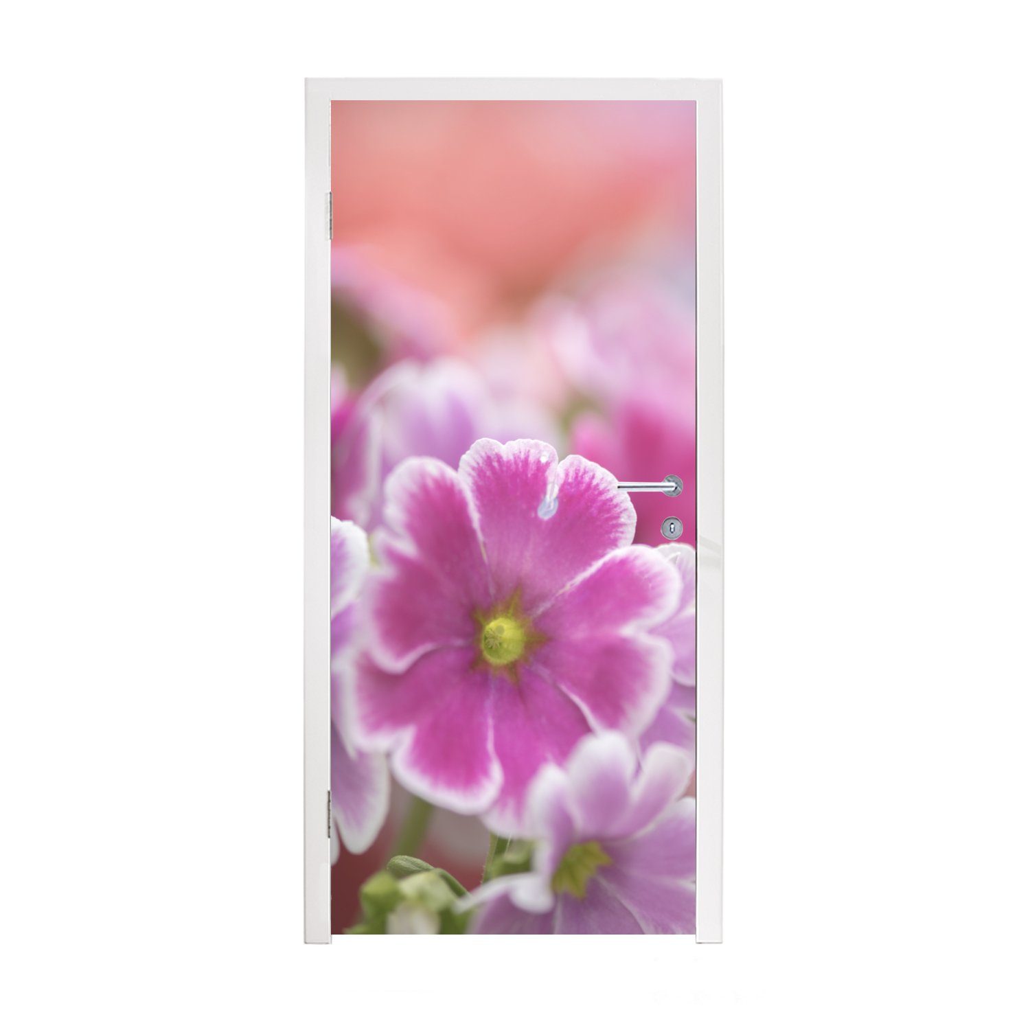 MuchoWow Türtapete Nahaufnahme von rosa Primeln, Matt, bedruckt, (1 St), Fototapete für Tür, Türaufkleber, 75x205 cm