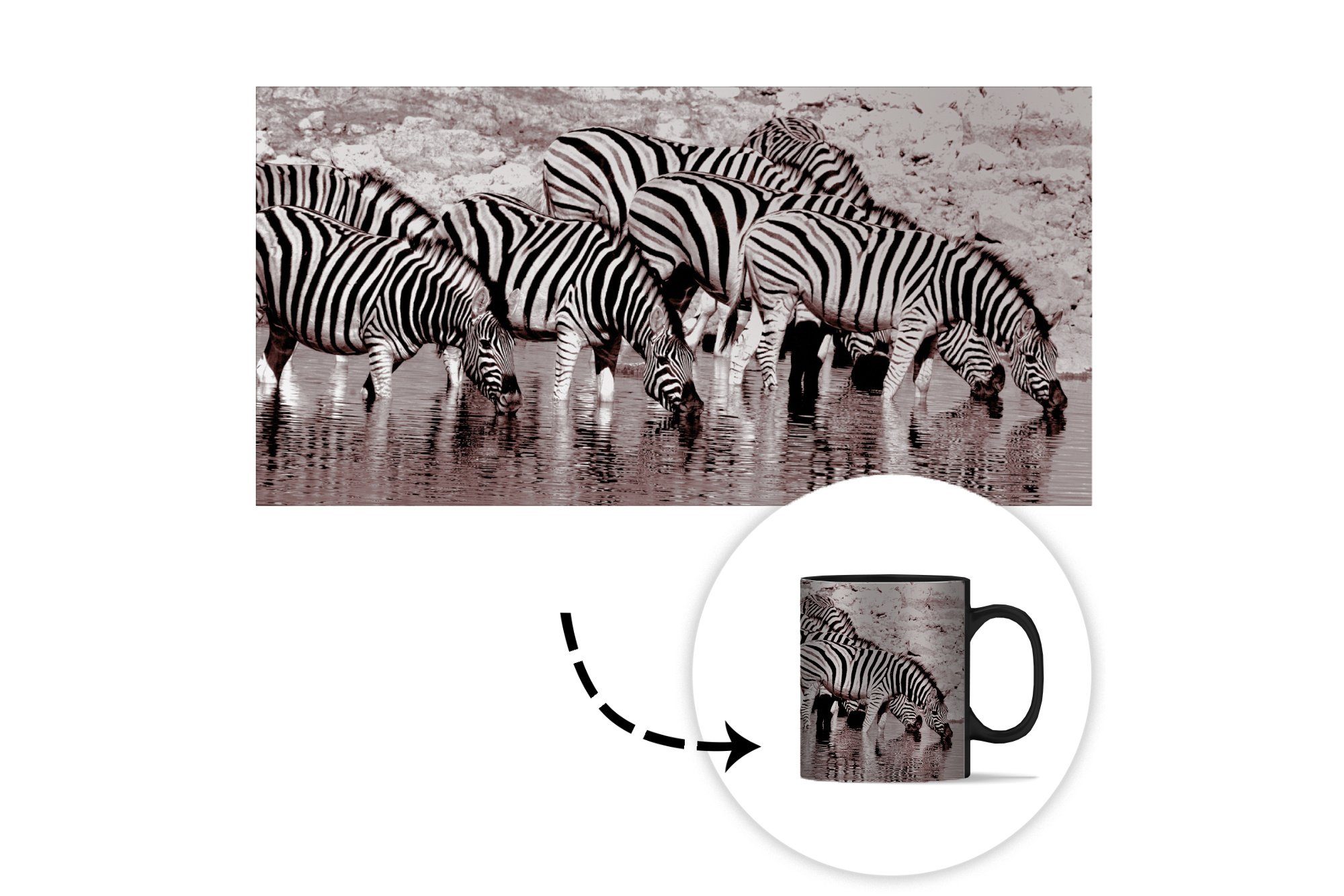 MuchoWow Tasse Zebras im Wasser, Kaffeetassen, Zaubertasse, Teetasse, Keramik, Farbwechsel, Geschenk