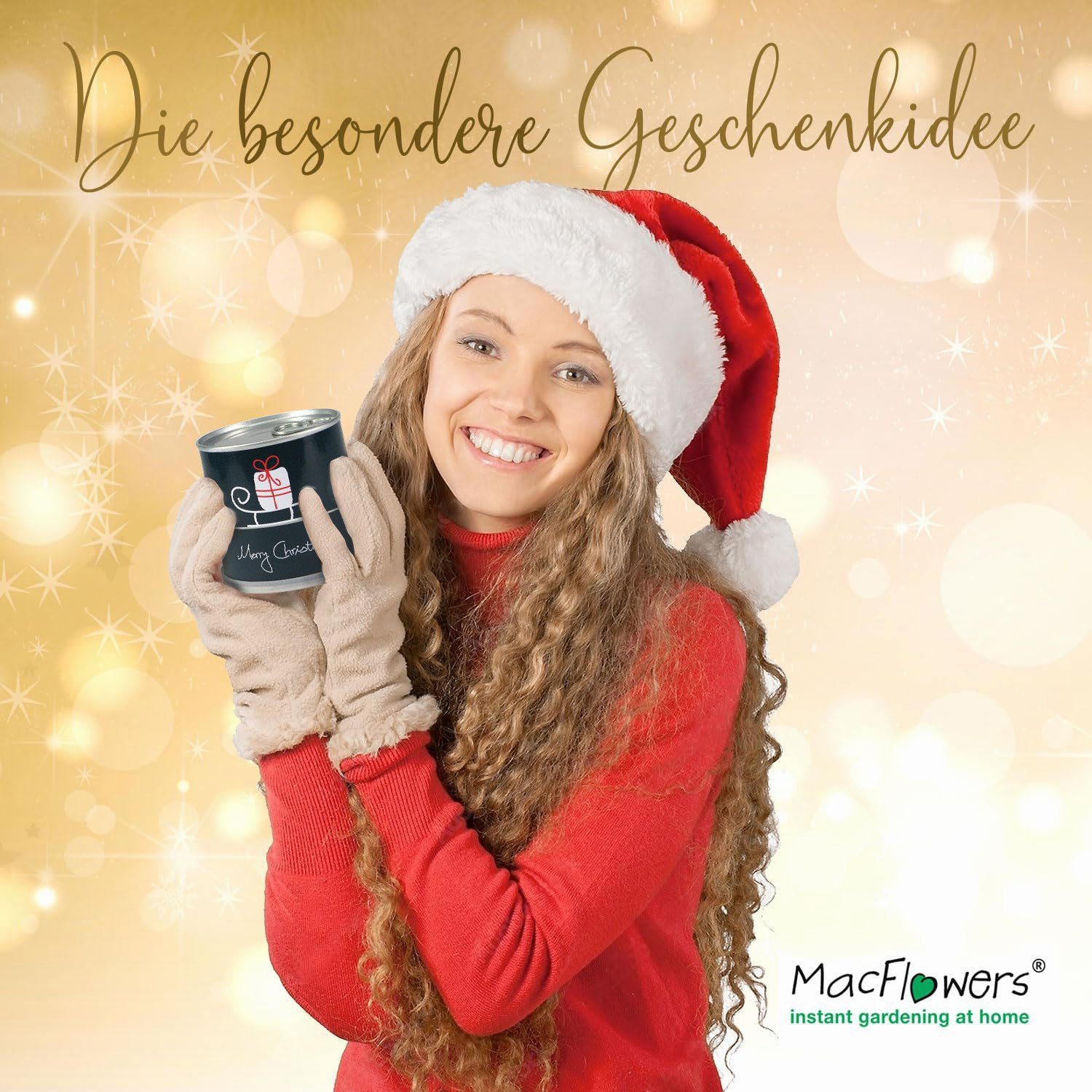 MacFlowers® Anzuchttopf in Dose St) Merry Set Weihnachtsbaum - Schlitten Tanne 2er der (2 Christmas 
