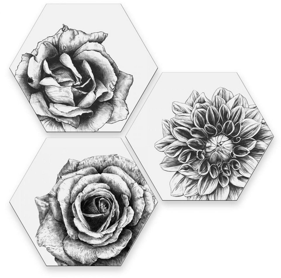 Wall-Art Mehrteilige Bilder Blumen Collage Floral Deko, (Set, 3 St)