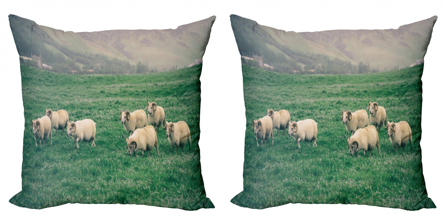 Kissenbezüge Modern Accent Doppelseitiger Digitaldruck, Abakuhaus (2 Stück), Bauernhoftier Schafe weiden auf Gras