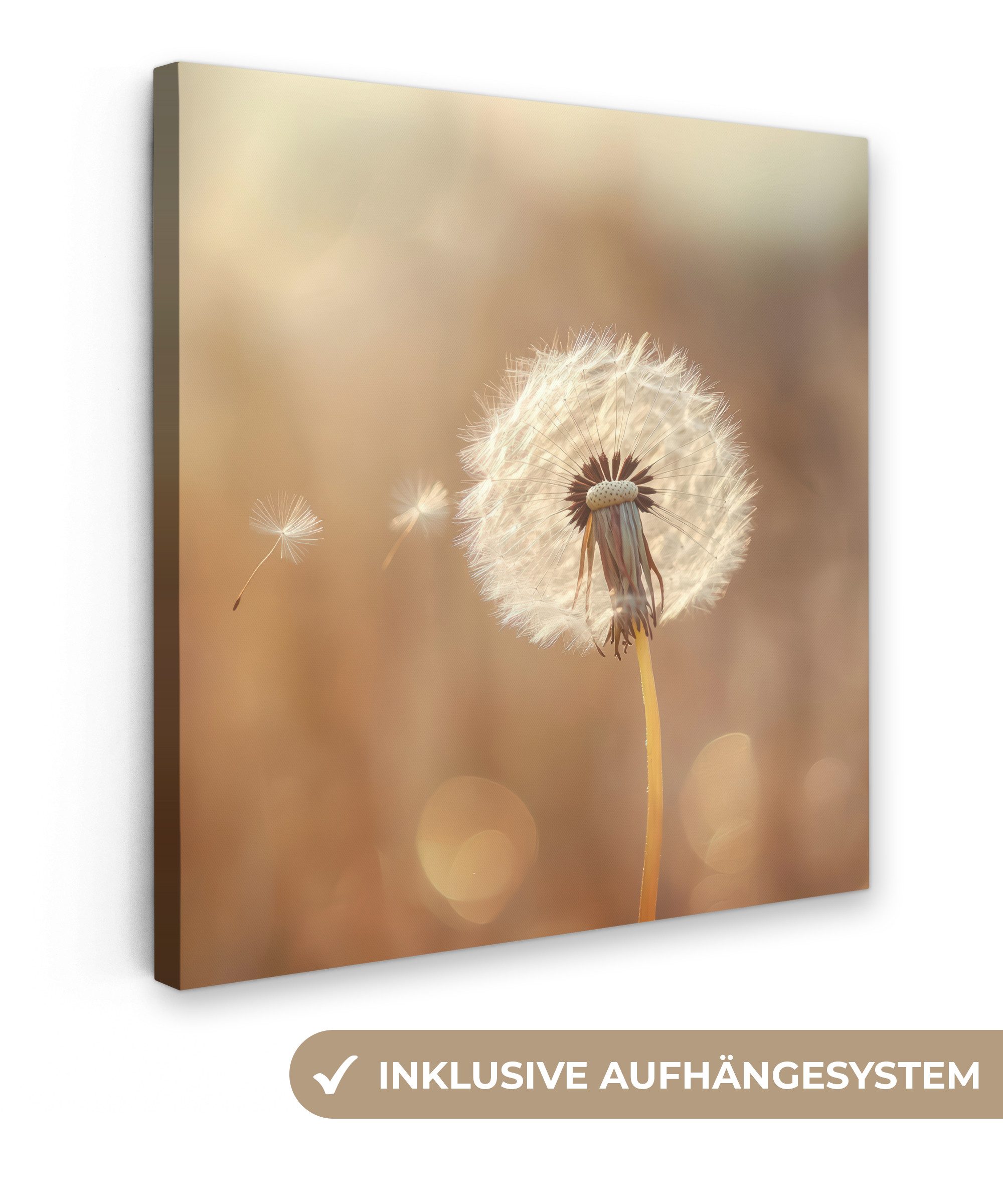 Leinwandbild Löwenzahn - Beige - Natur - Blume