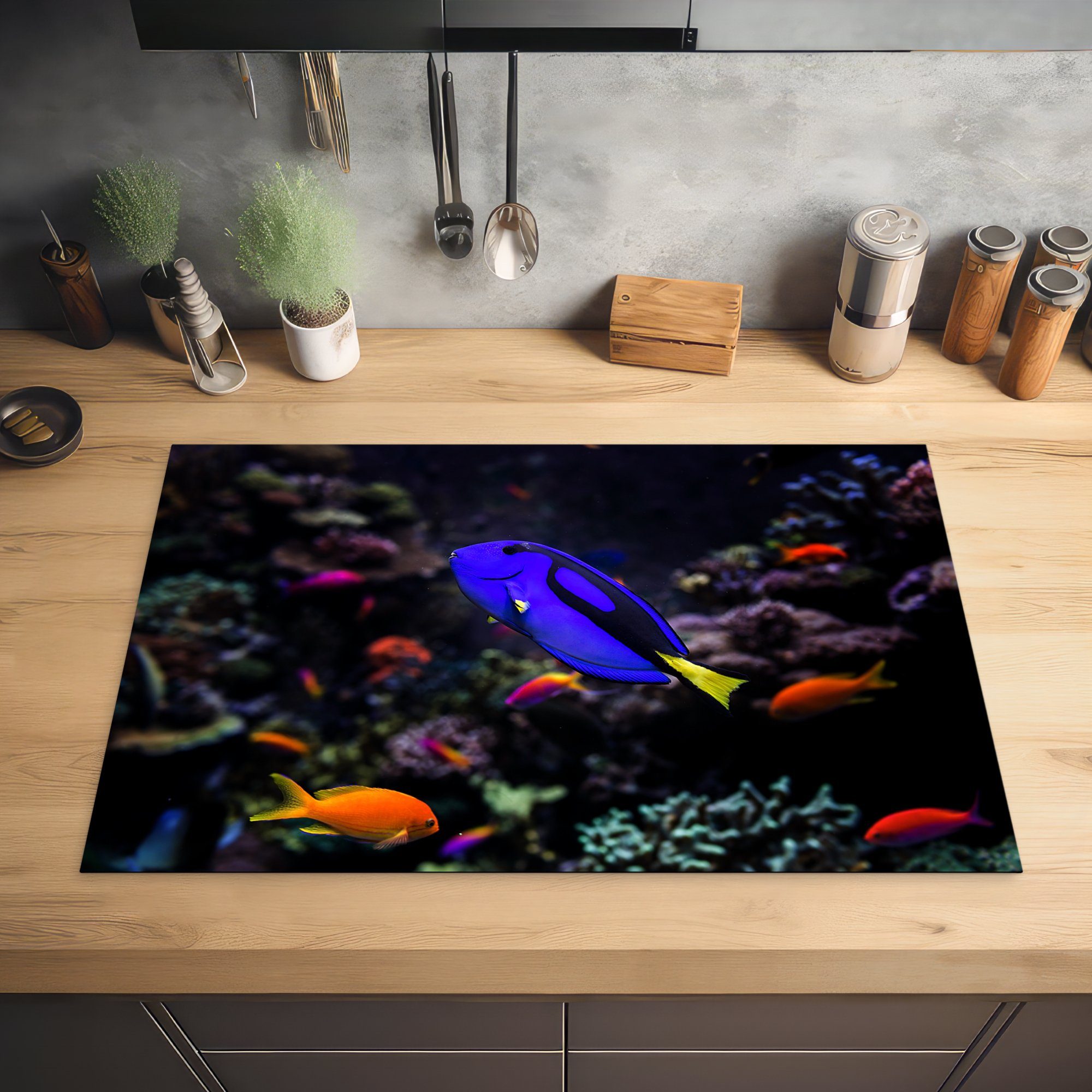 (1 Schutz cm, die 81x52 in Induktionskochfeld Ceranfeldabdeckung Ein küche, MuchoWow für tlg), Aquarium, einem Picasso-Doktorfisch Herdblende-/Abdeckplatte Vinyl,