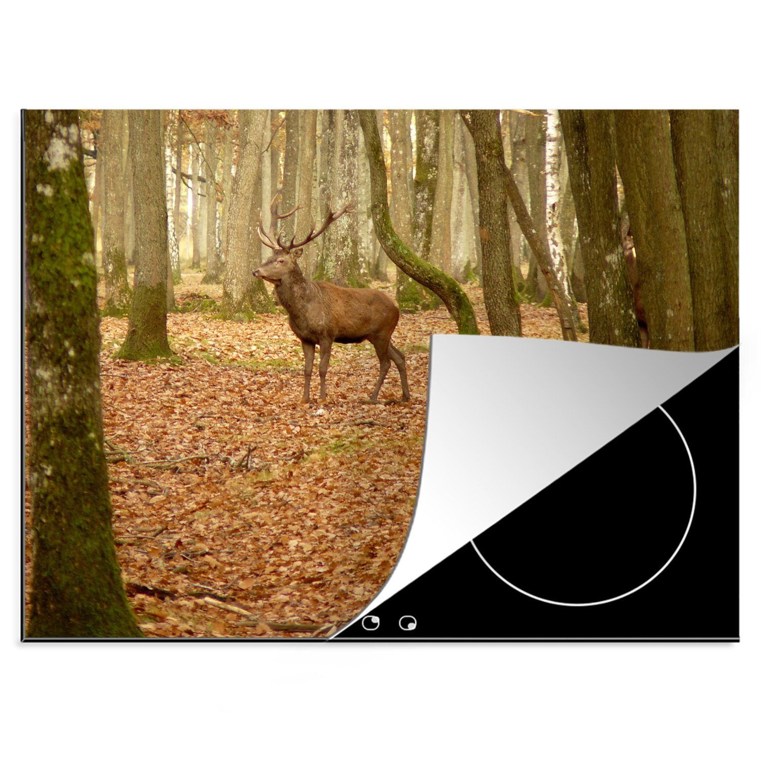 nutzbar, Hirsche Ceranfeldabdeckung 70x52 Arbeitsfläche - Wald, Mobile Herdblende-/Abdeckplatte Vinyl, - Herbst (1 MuchoWow cm, tlg),
