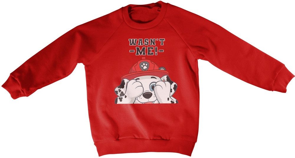 PAW PATROL Sweatshirt Paw Patrol Wasn't Me Kids Sweatshirt