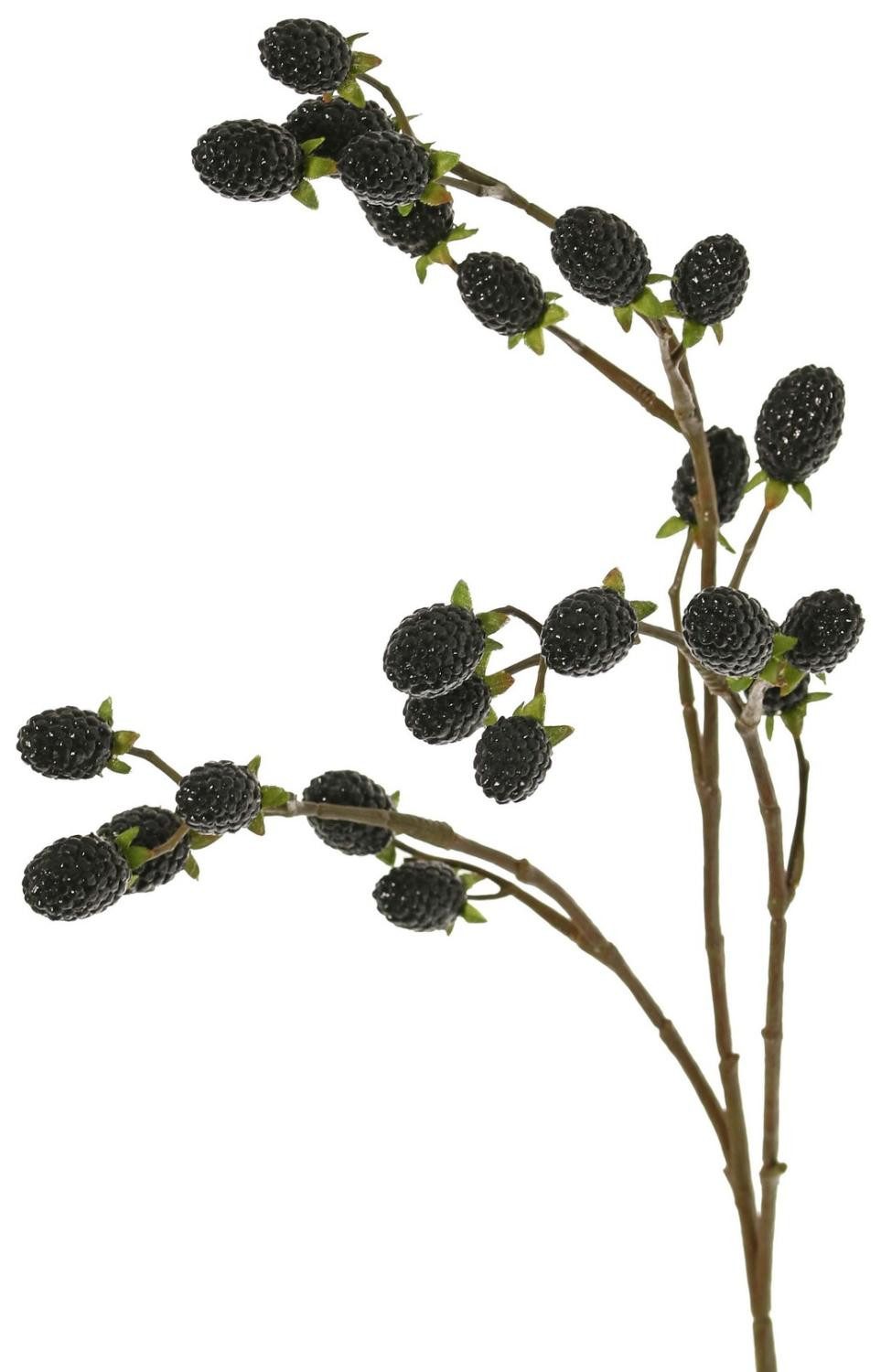 Kunstzweig Künstlicher Zweig Brombeere URUMA mit Früchten, schwarz, 90cm Brombeere, artplants, Höhe 90.0 cm