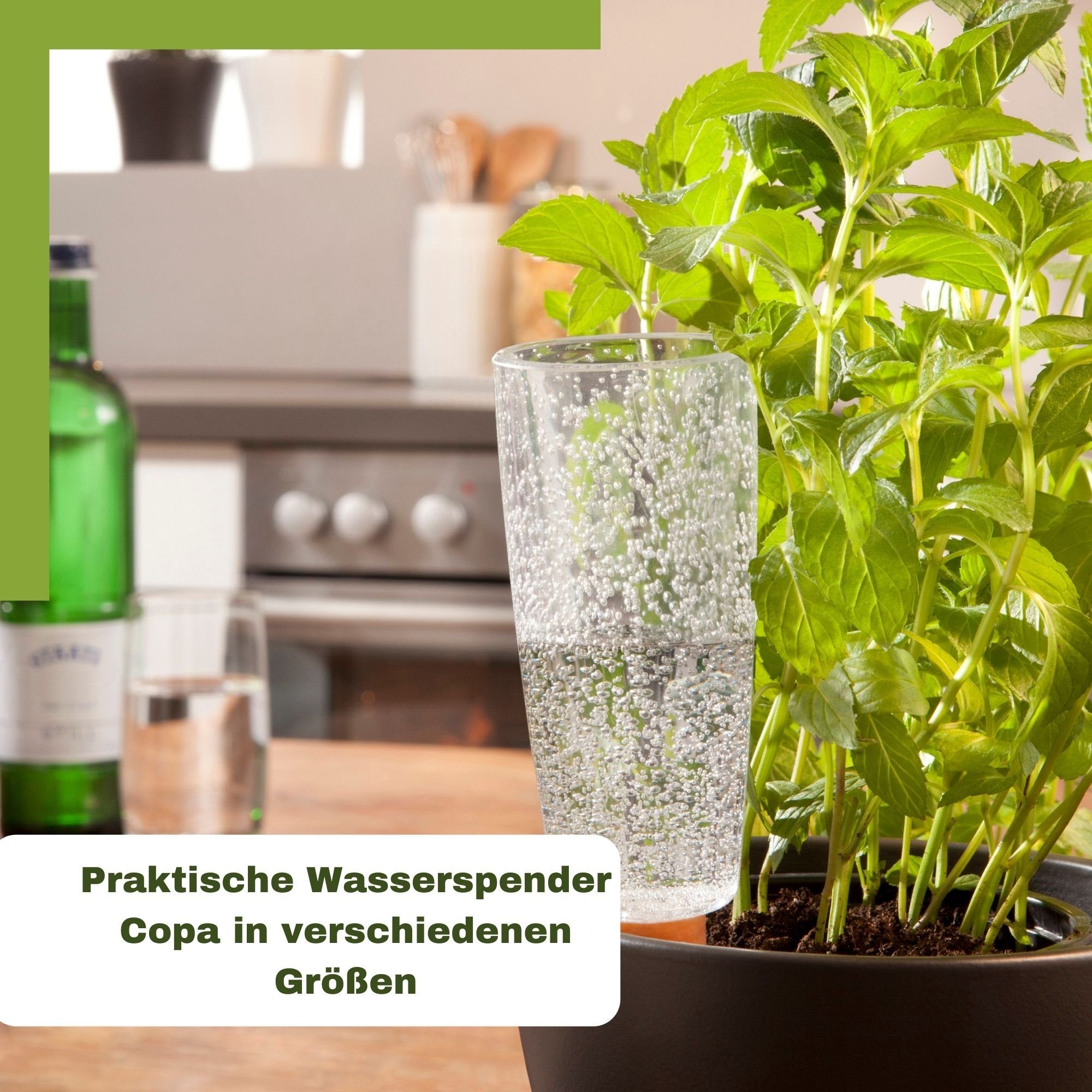 Scheurich Bewässerungssystem -, (Spar-Set, 16-tlg), Scheurich Wasserspender Copa M 150 ml