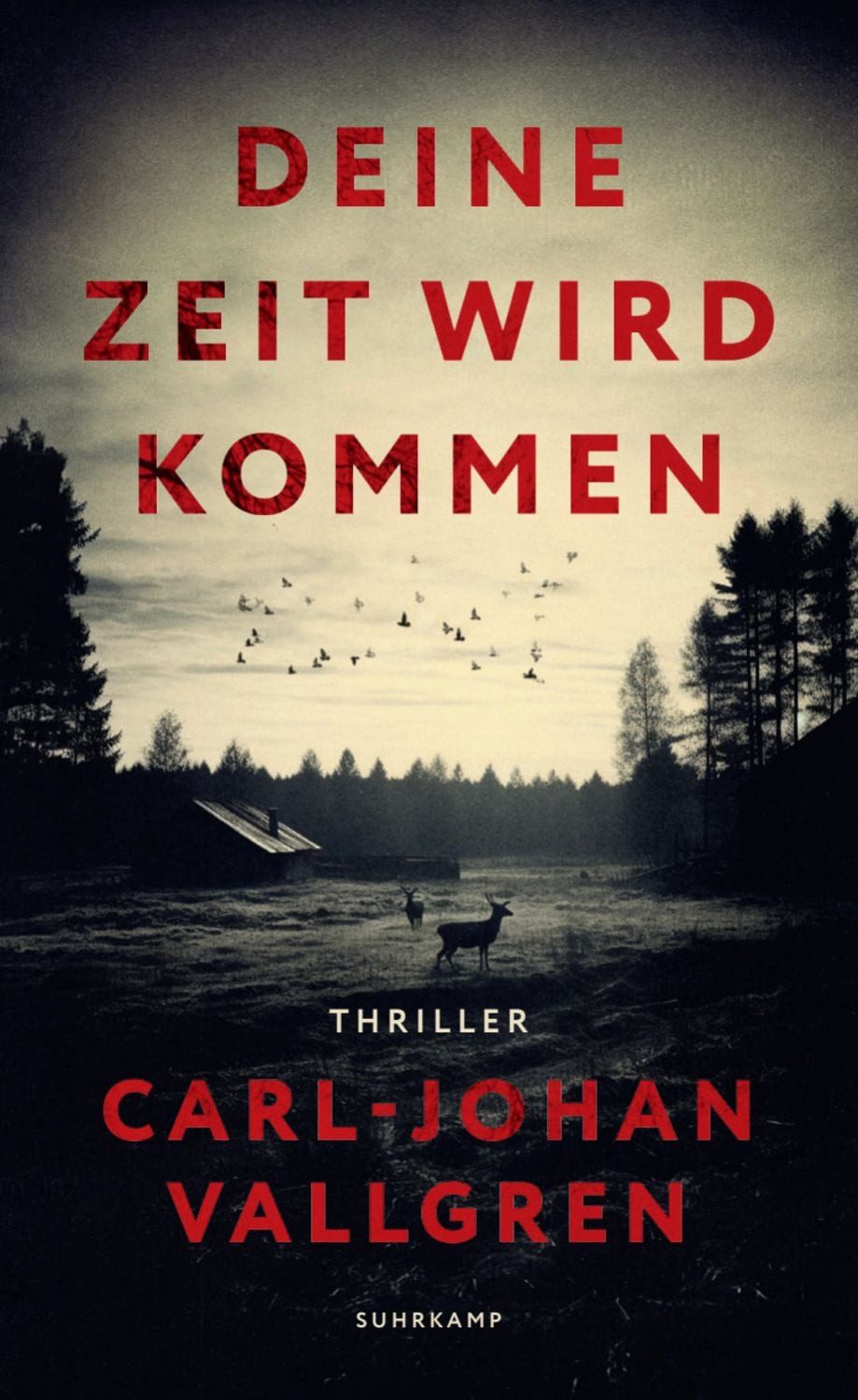 Deine Zeit wird kommen / Carl-Johan Vallgren
