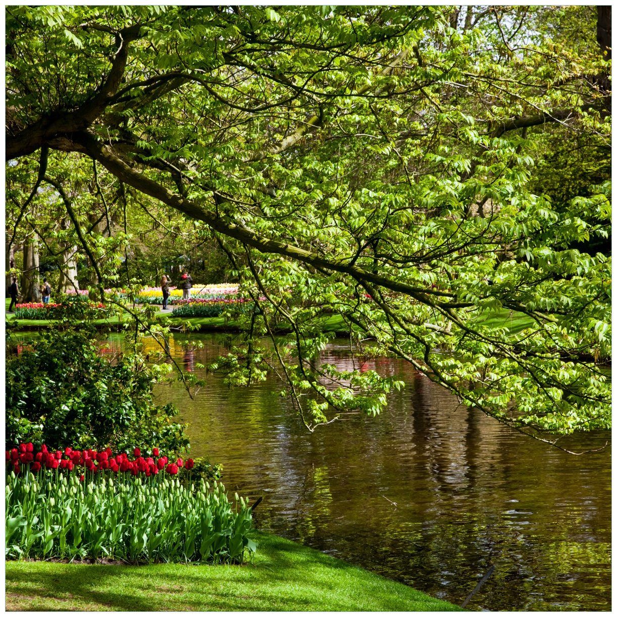 Tisch Ufer am Bunte Wallario (1 im Frühblüher - St), am Lack Wasser für Blumen Ikea Tischplatte geeignet Park