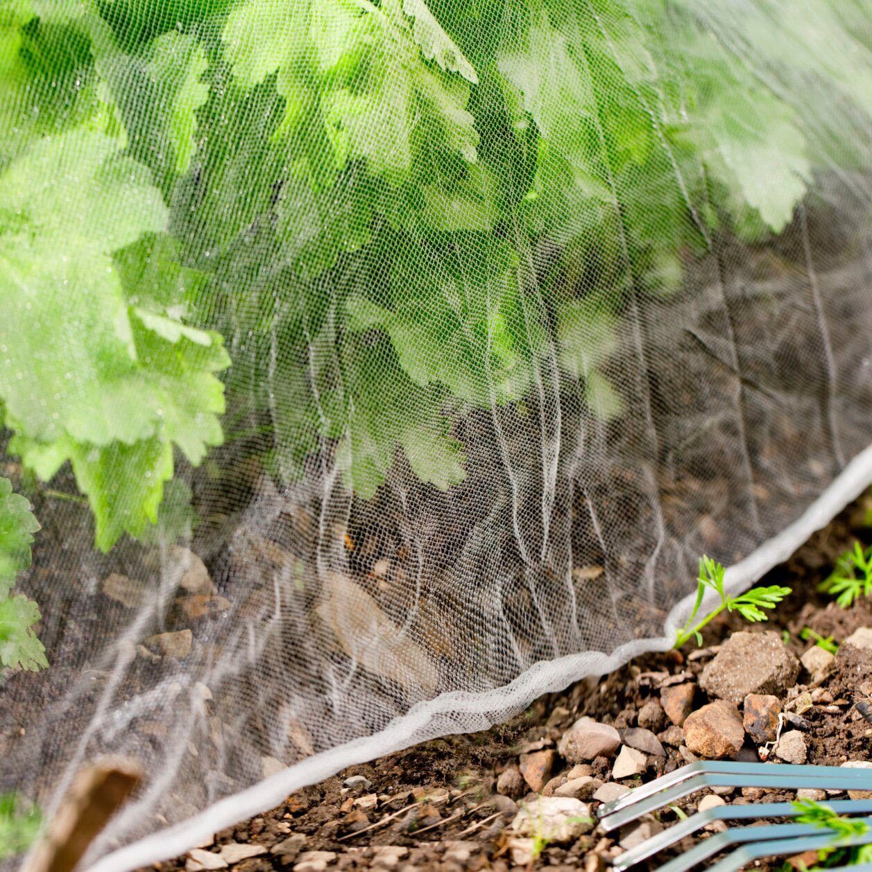 Windhager Schädlingsschutznetz, Insektenschutznetz, LxB: 5x2 m
