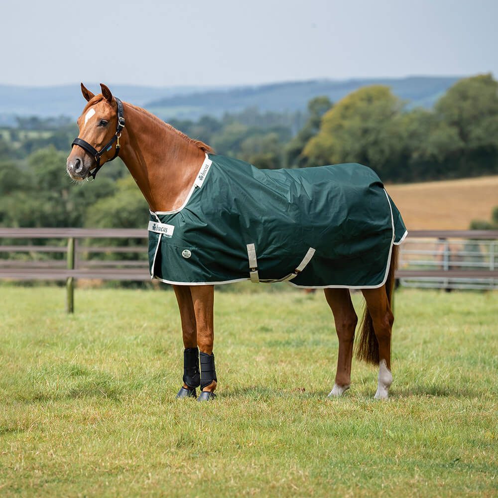 Bucas Pferde-Thermodecke Bucas Green-Line Turnout 300g
