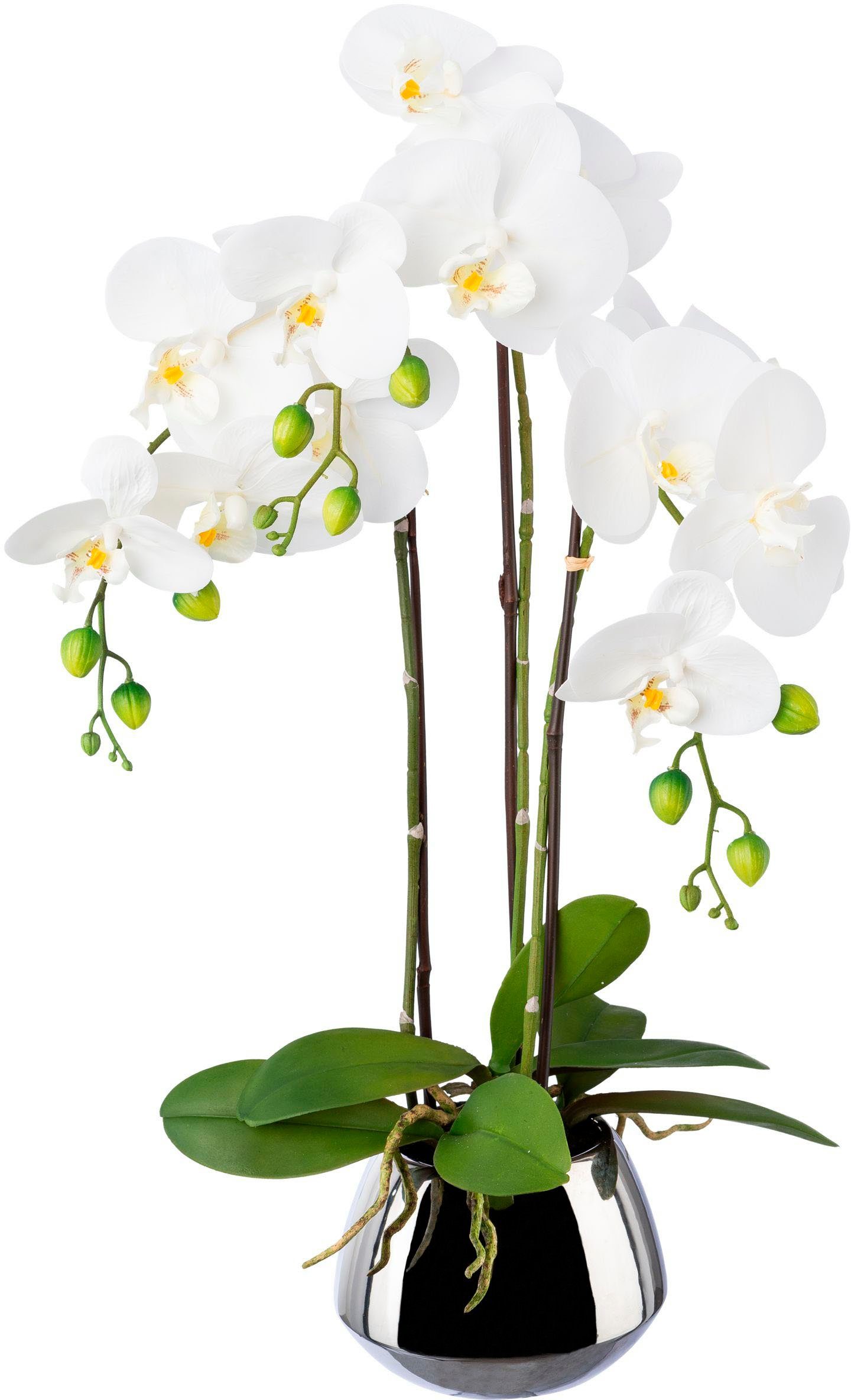 Orchidee Silbertopf Höhe Phalaenopsis mit cm, Kunstorchidee Real-Touch-Blüten green, Creativ Phalaenopsis, 55 im