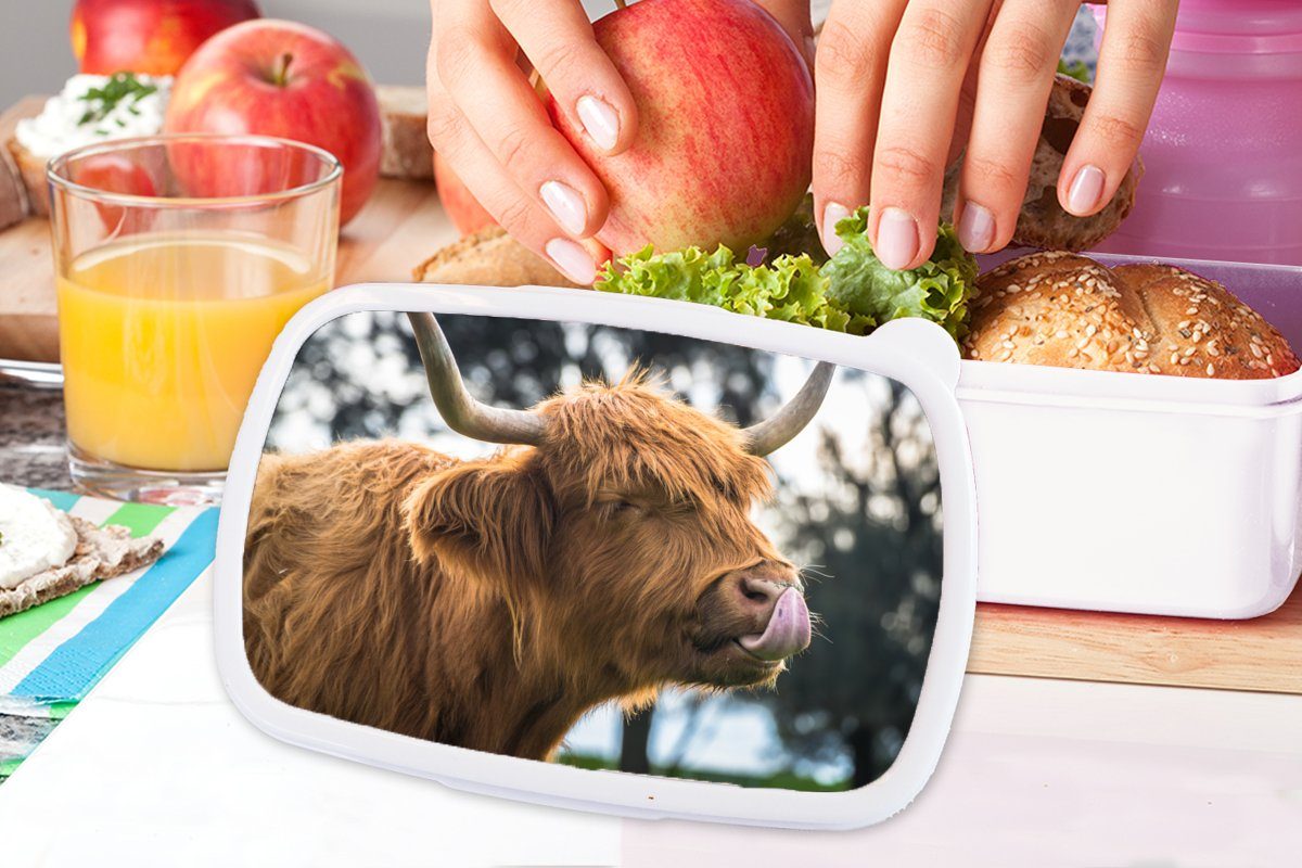 MuchoWow Lunchbox Hochländer für Erwachsene, und Kuh Brotdose, Kinder - und Frühling für (2-tlg), weiß Brotbox - - Kunststoff, Mädchen Schottischer Tiere, Jungs
