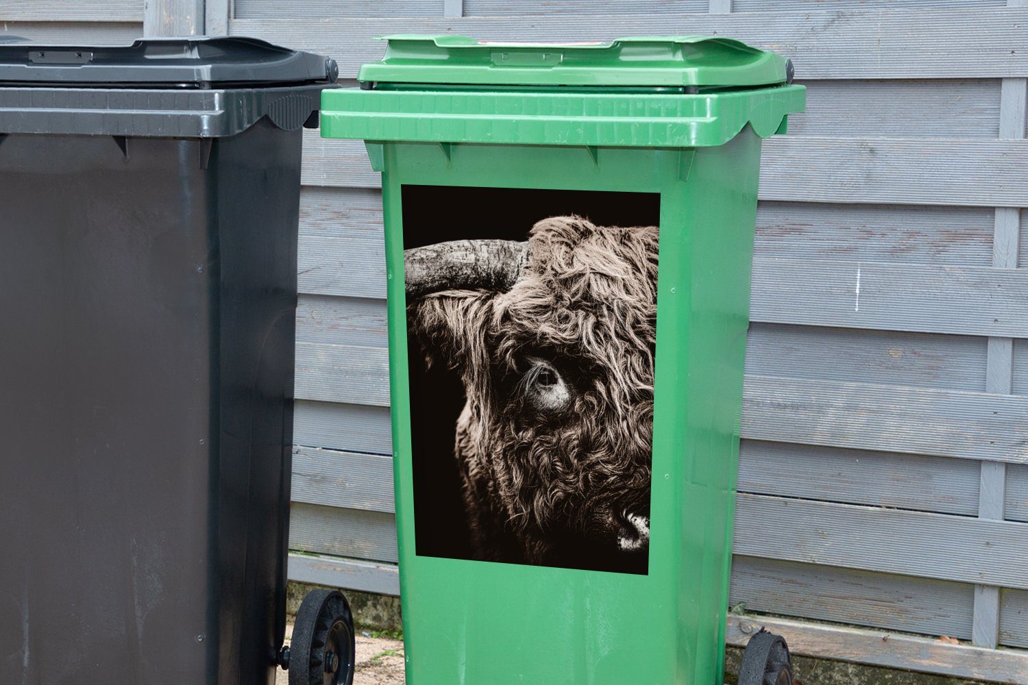 MuchoWow Wandsticker Schottischer Highlander - Stier (1 Abfalbehälter Kuh St), Mülleimer-aufkleber, - Mülltonne, Sticker, Container