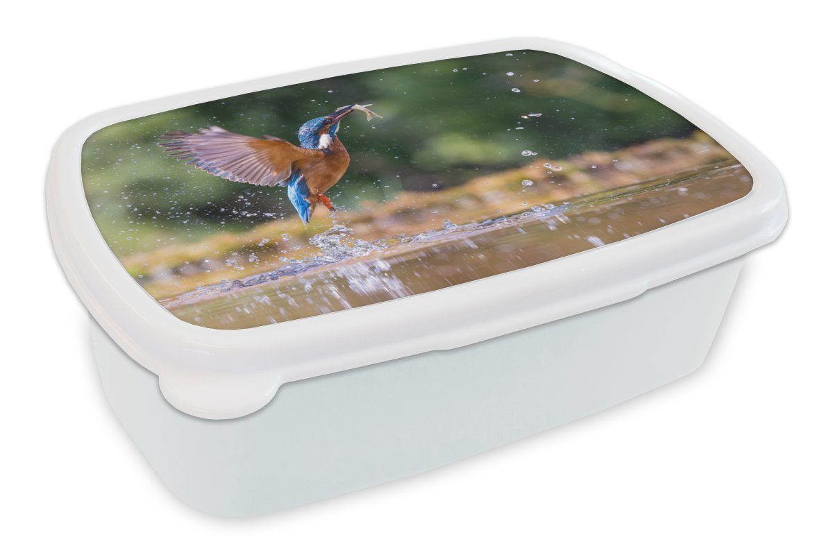 MuchoWow Lunchbox Flügel, und - Kinder Fisch Eisvogel Brotbox für Brotdose, weiß für Jungs Kunststoff, - Erwachsene, (2-tlg), Mädchen und
