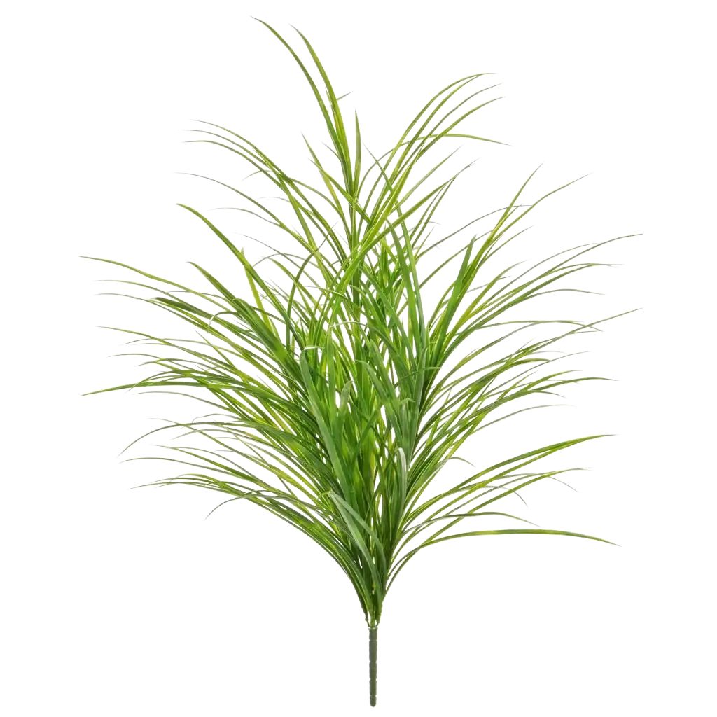 Kunstpflanze Künstliches Gras - Bernd, 80 cm, aplanta