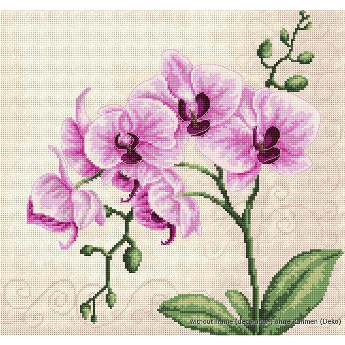 Luca-S Kreativset Luca-S Kreuzstich Set "Orchideen", Zählmuster, 23x22,5cm, (embroidery kit by Marussia)