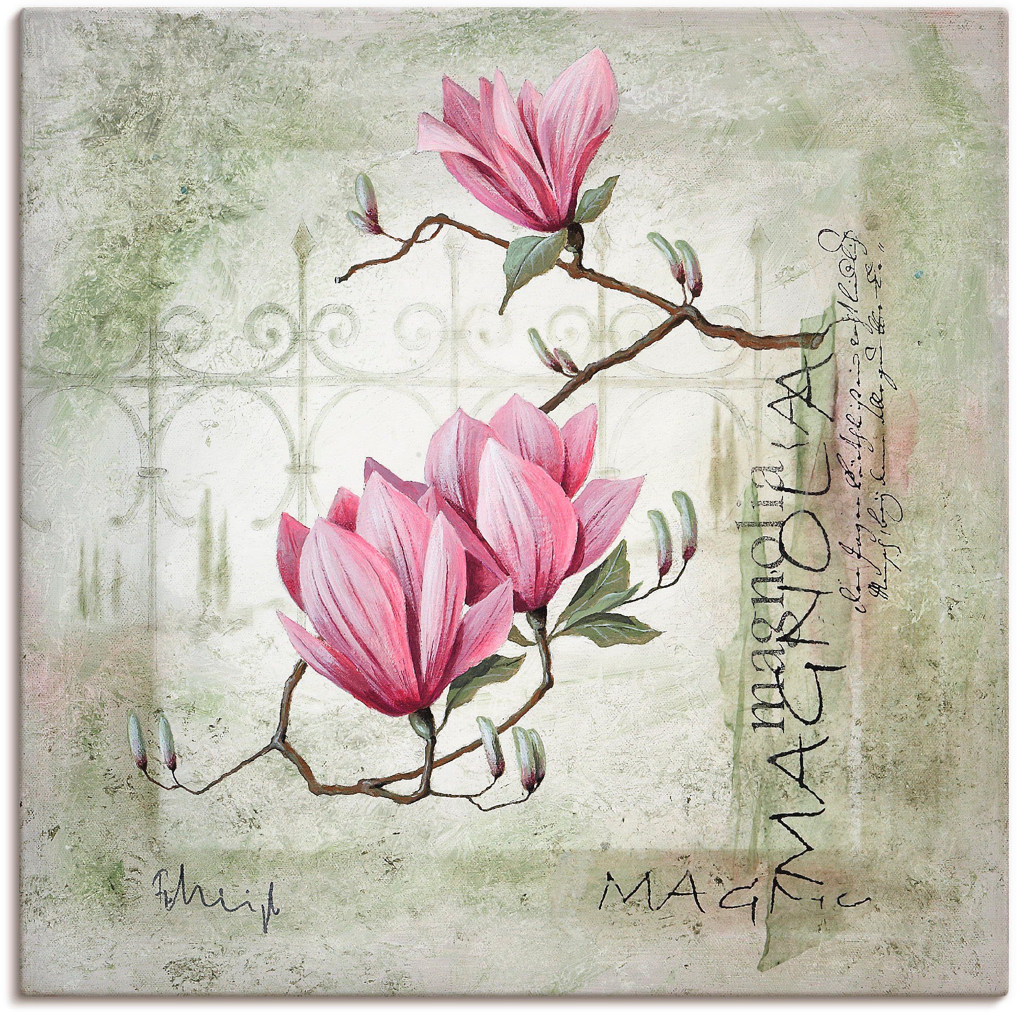 Artland Wandbild Pinke Magnolie, Blumen (1 St), als Leinwandbild, Poster in verschied. Größen