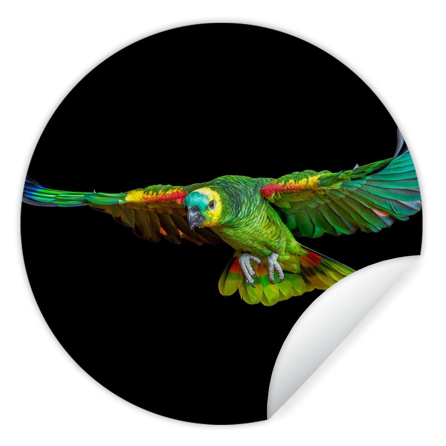 MuchoWow Wandsticker Papagei - Vogel - Federn (1 St), Tapetenkreis für Kinderzimmer, Tapetenaufkleber, Rund, Wohnzimmer | Wandtattoos