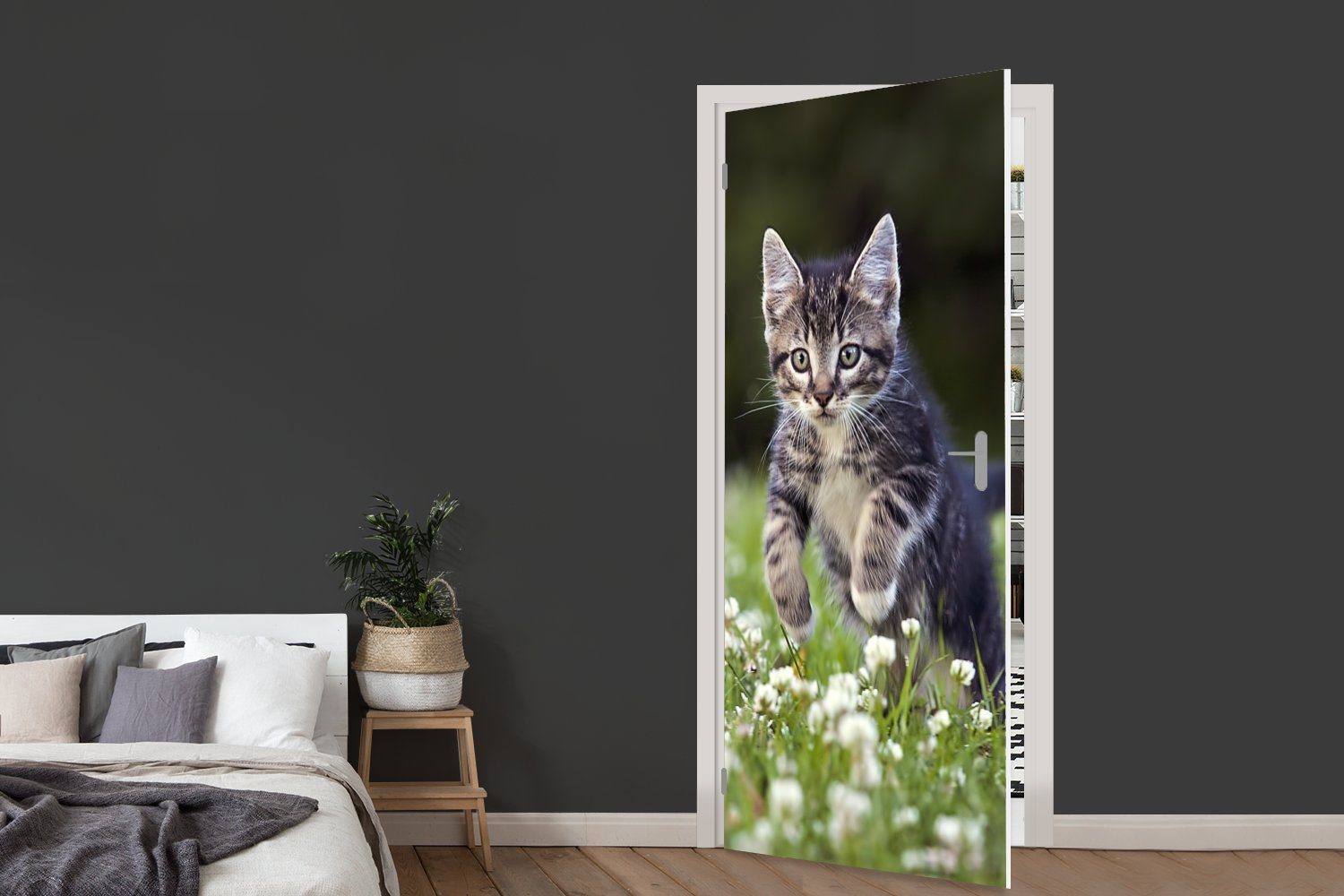 MuchoWow Türtapete Ein Kätzchen in Türaufkleber, Matt, Kleefeld, cm St), Fototapete Tür, bedruckt, einem 75x205 für (1