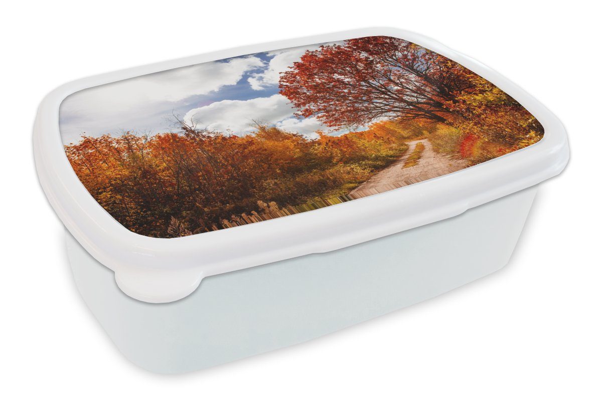 MuchoWow Lunchbox Baum - Weg - Herbst, Kunststoff, (2-tlg), Brotbox für Kinder und Erwachsene, Brotdose, für Jungs und Mädchen weiß