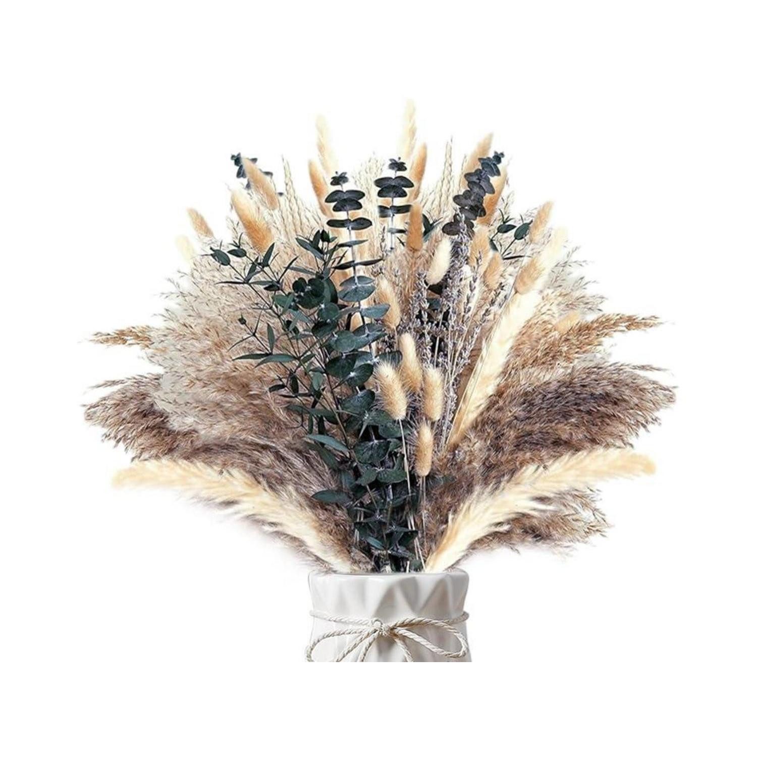 Trockenblume Pampasgras Getrocknet Flauschig Deko-Strauß, LuxusKollektion, Höhe 10 cm