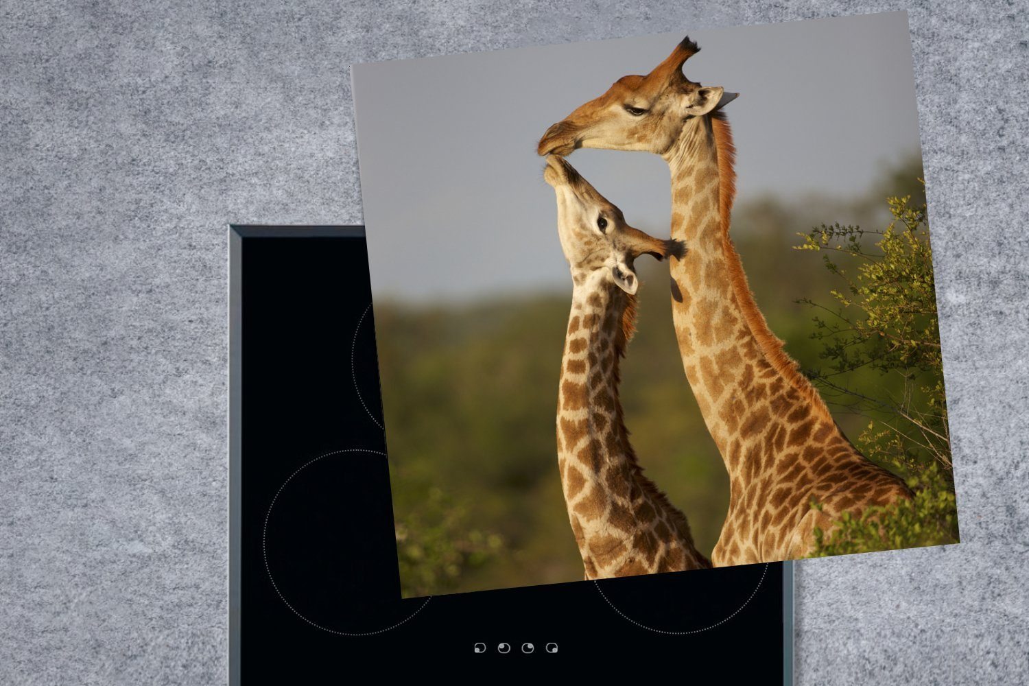 MuchoWow Herdblende-/Abdeckplatte Giraffe - - Baum - tlg), Kalb für (1 cm, Porträt, 78x78 Arbeitsplatte küche Vinyl, Ceranfeldabdeckung