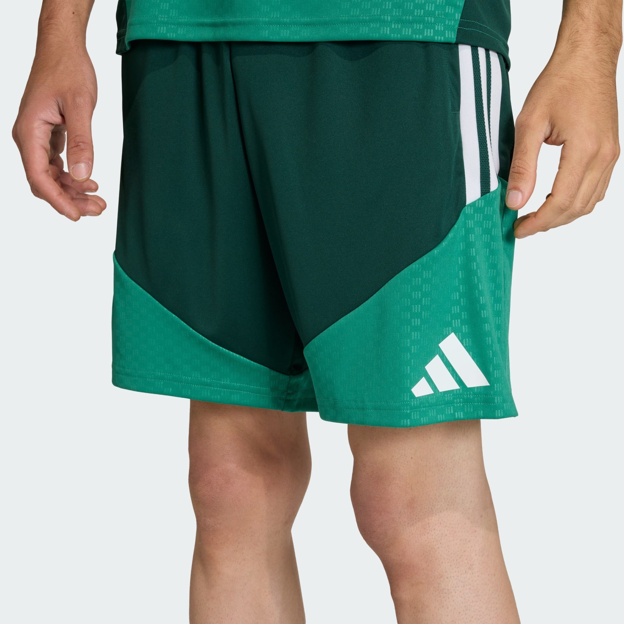 adidas Performance Shorts ALGERIEN 26 TRAININGSSHORTS (1-tlg)