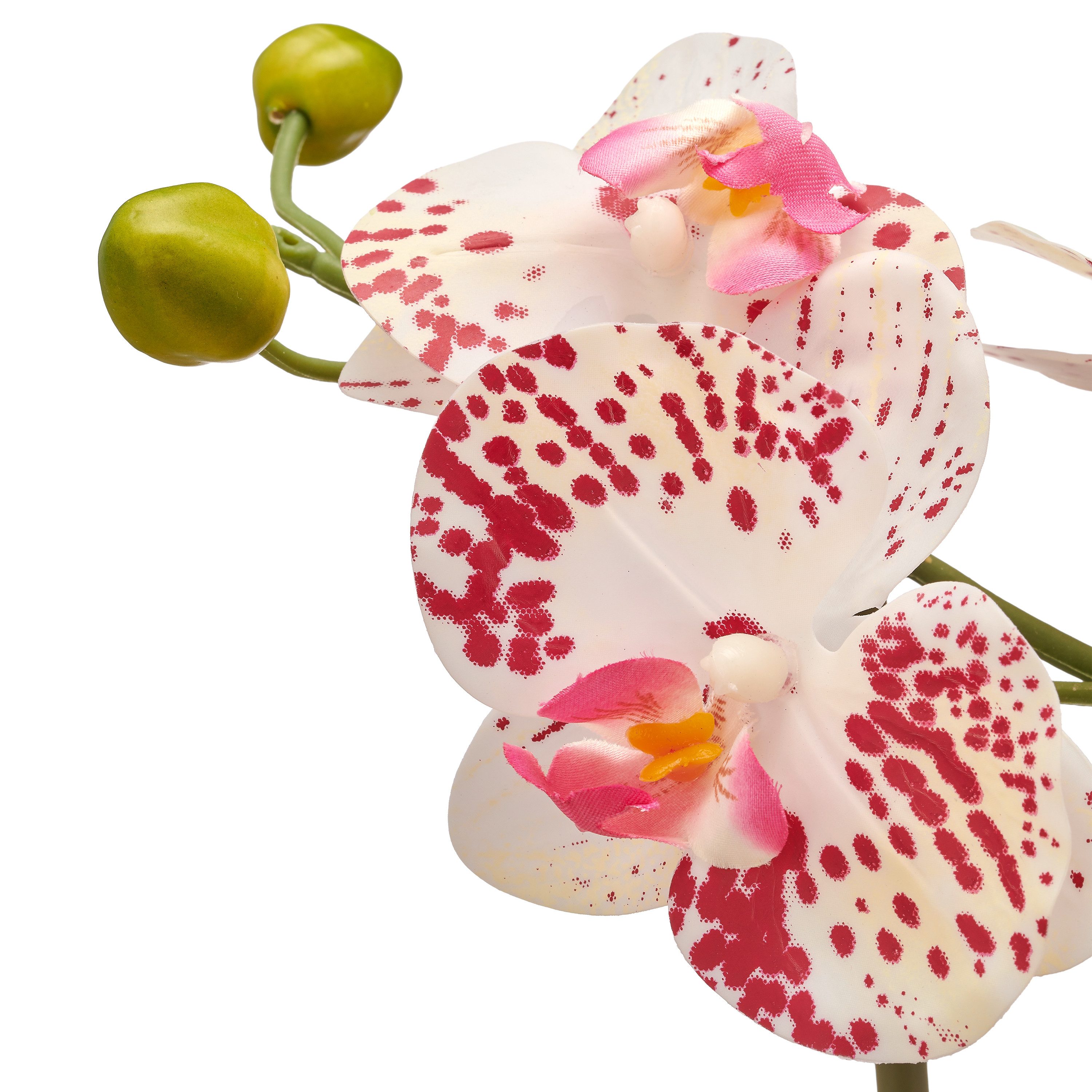Kunstorchidee Orchidee Phalaenopsis, Creativ green, Höhe 33 cm, im Design-Topf