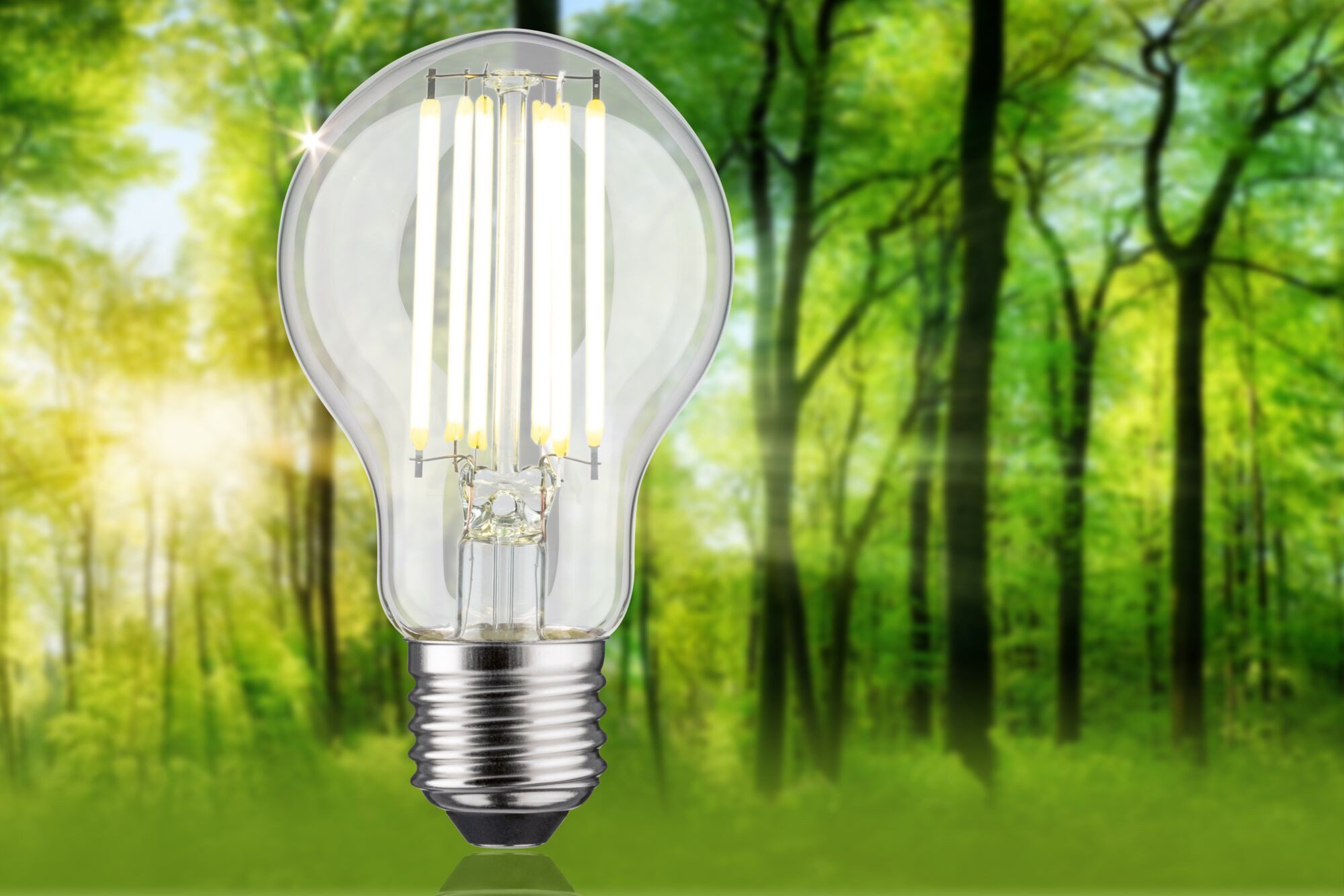 Paulmann LED-Leuchtmittel Eco-Line Filament 230V LED günstig online kaufen