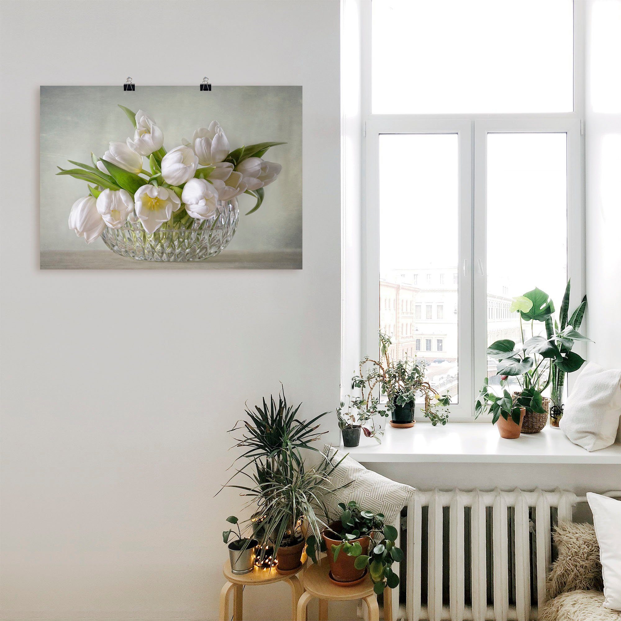Artland Wandbild Weiße Tulpen, Blumen (1 St), als Leinwandbild, Poster in verschied. Größen