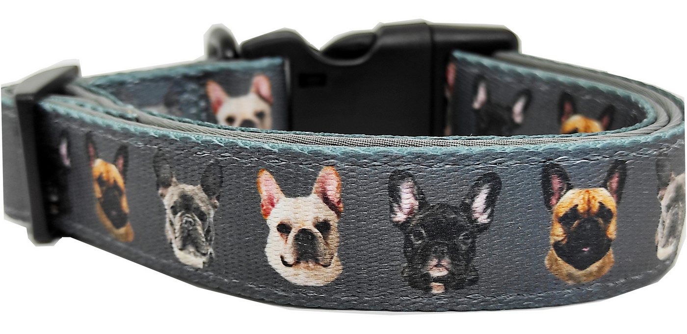 Thumbnail - Beroni Hunde-Halsband Französische Bulldogge Halsband gepolstert verstellbar grau, gepolstert, passend zu einem Hundeges...