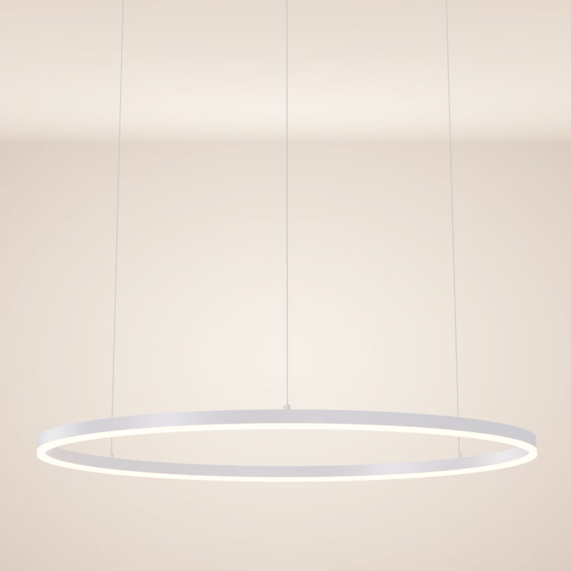 s.luce Pendelleuchte LED Pendelleuchte Ring 100 direkt oder indirekt 5m Abhängung Weiß, Warmweiß