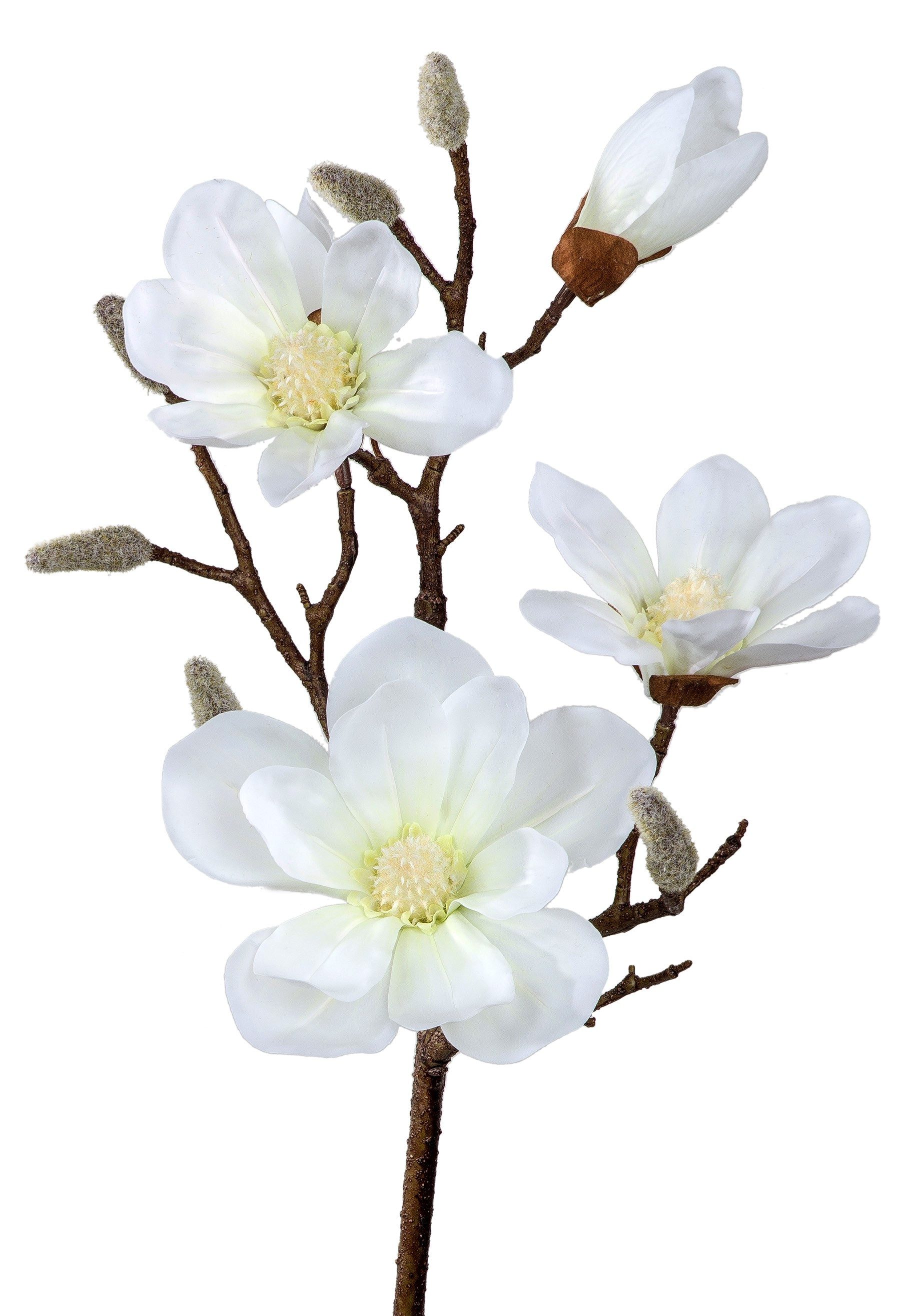 Kunstblume, formano, Höhe 88 cm, Höhe: 88cm, Farbe: Weiß, Motiv: Magnolie