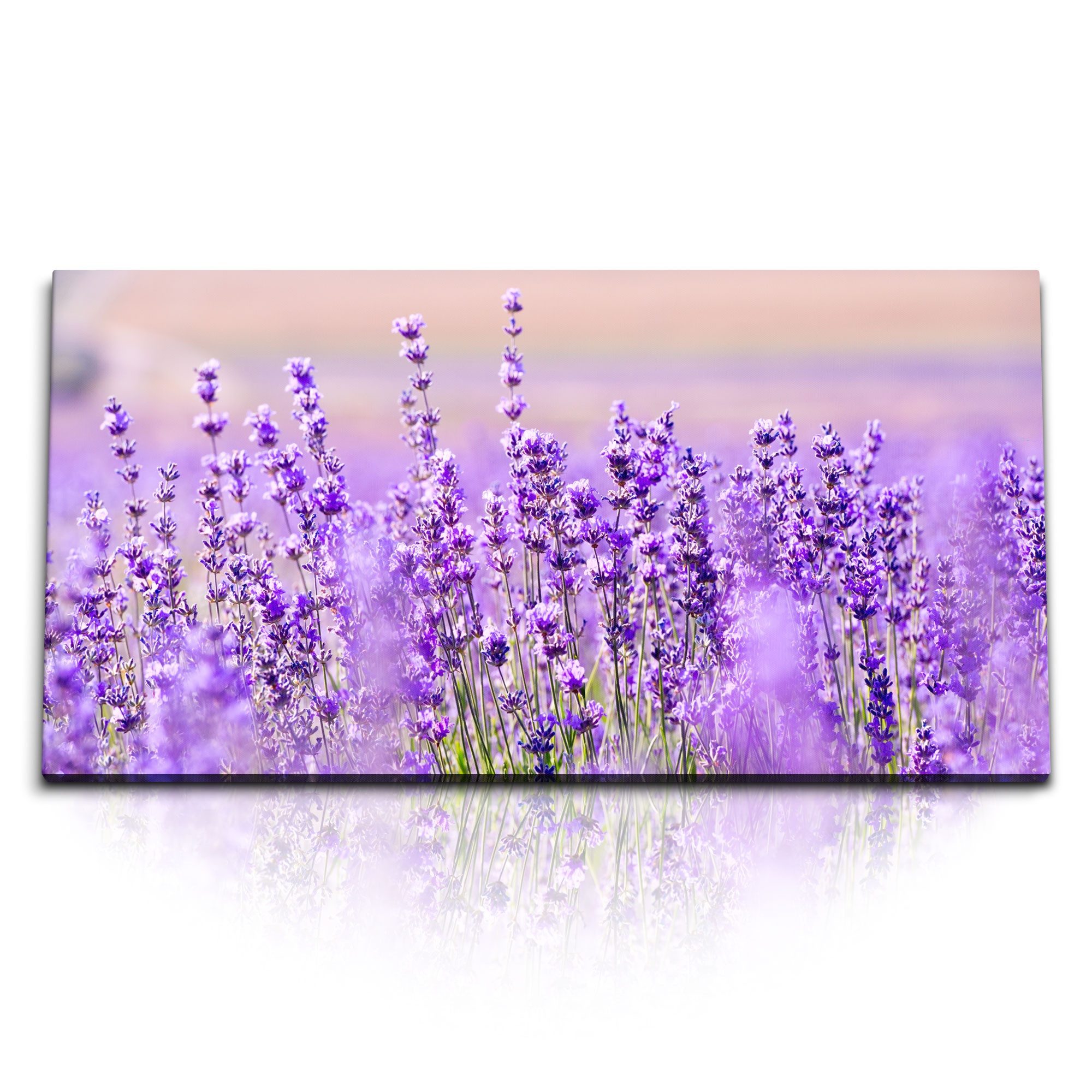Leinwandbild Kunstdruck Bilder 120x60cm Lavendel Lavendelfeld Violett Blumen Sommer