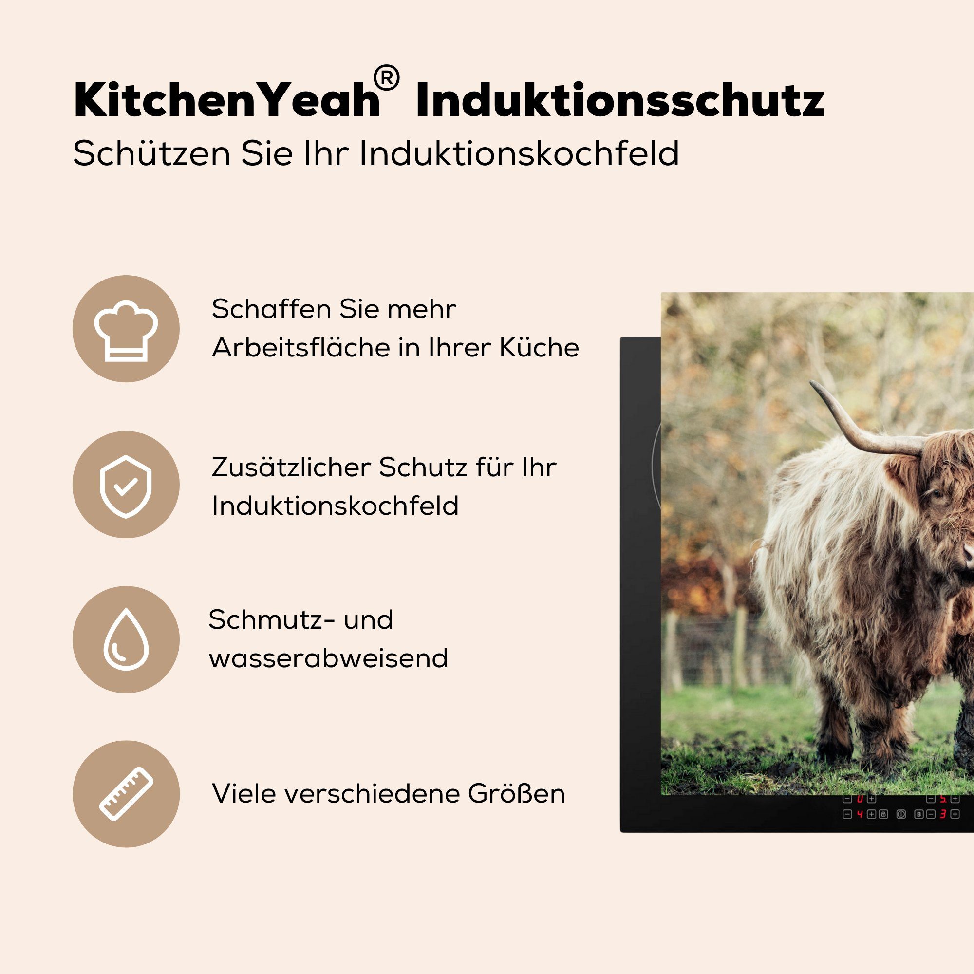 Ceranfeldabdeckung, cm, Arbeitsplatte MuchoWow Bull für küche Natur Scottish Herbst, (1 Vinyl, Highlander tlg), Herdblende-/Abdeckplatte 78x78 - -