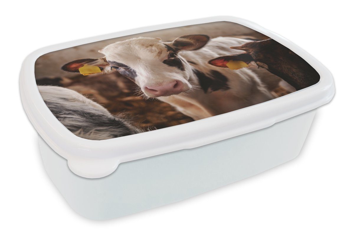 MuchoWow und Kuh Brotbox - Kinder Kunststoff, weiß Lunchbox Porträt (2-tlg), Brotdose, Mädchen für Stall, - und Erwachsene, Jungs für