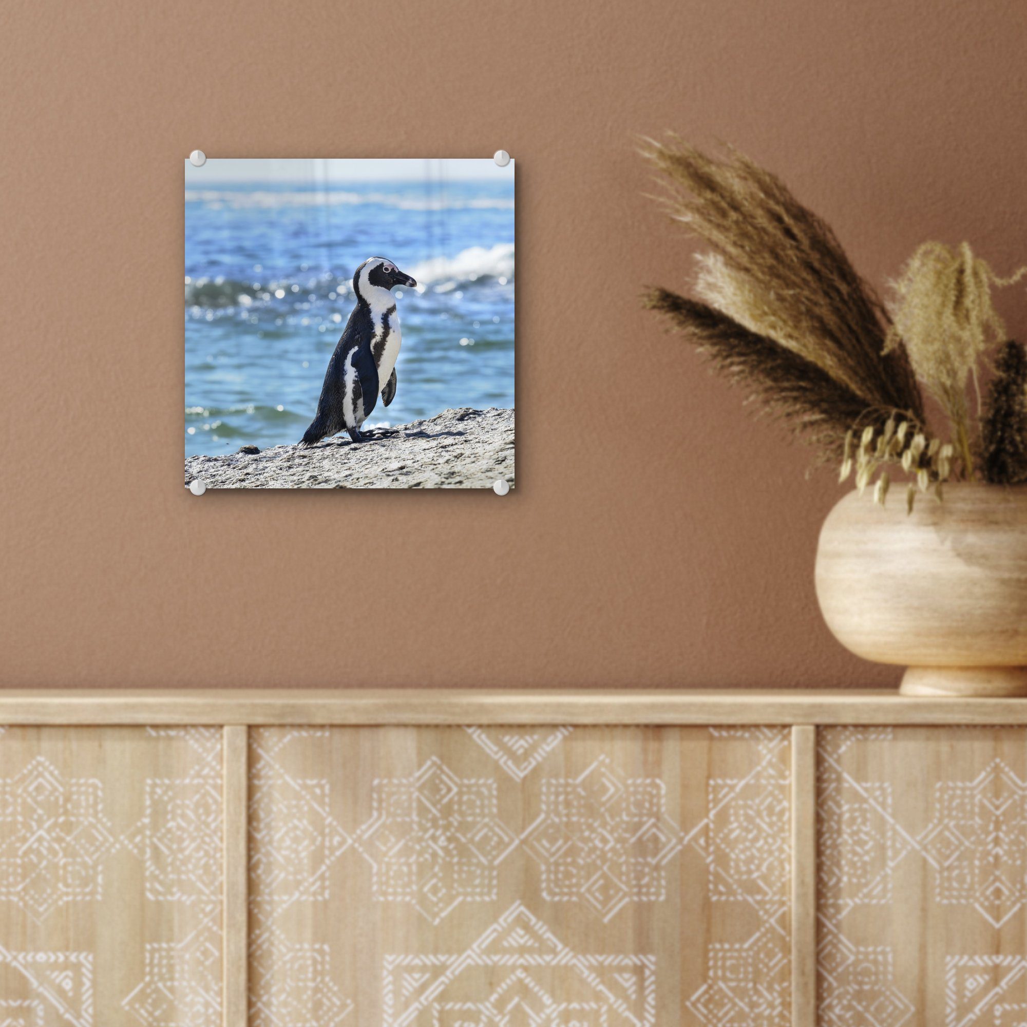 MuchoWow Acrylglasbild Pinguin am auf Wanddekoration Strand (1 auf - Boulders - Beach, Glasbilder Wandbild Foto St), Bilder Glas Glas - von